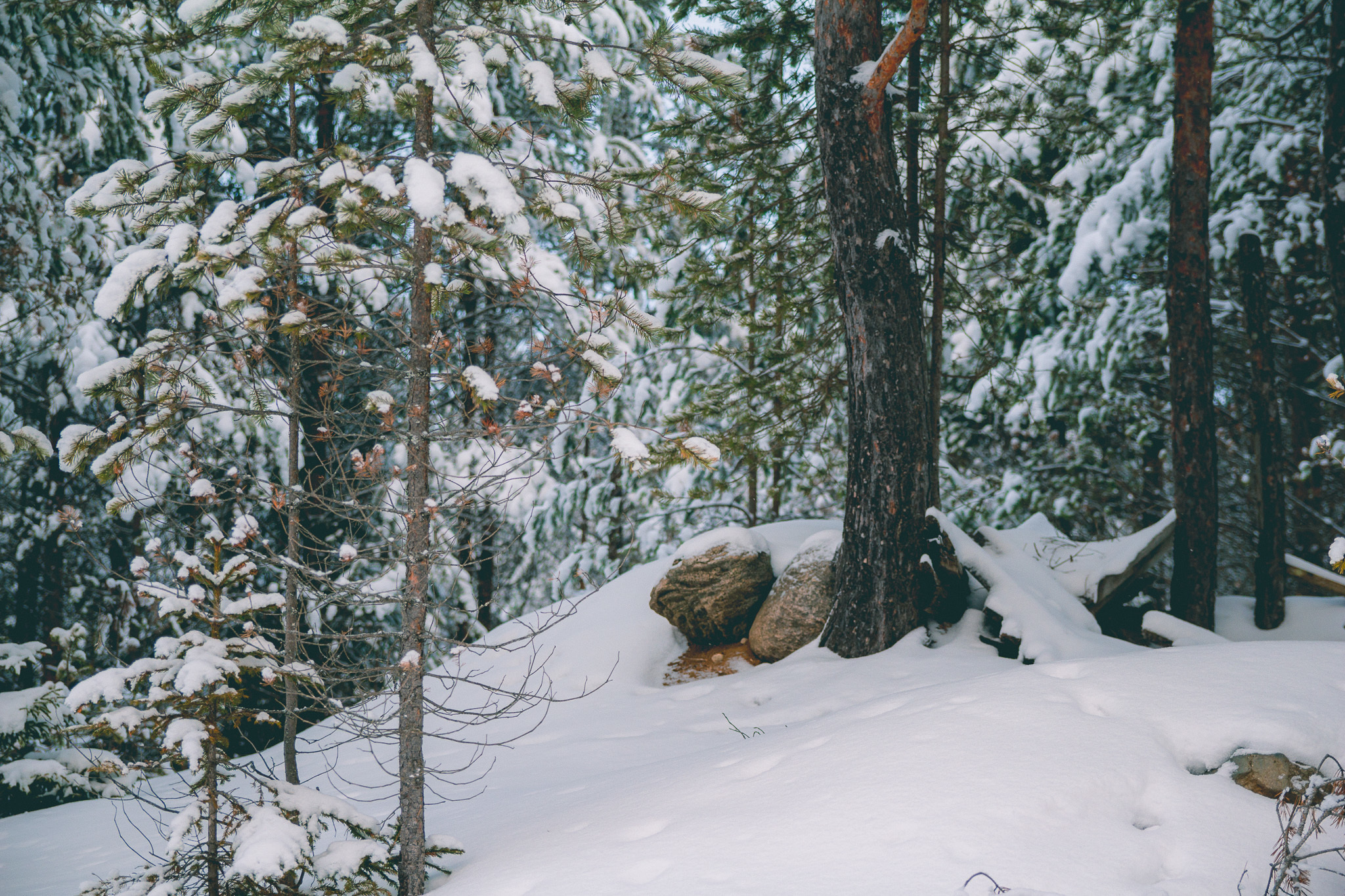 Подюга • Архангельская область. Творческая Мастерская Павла МАРЕЕВА