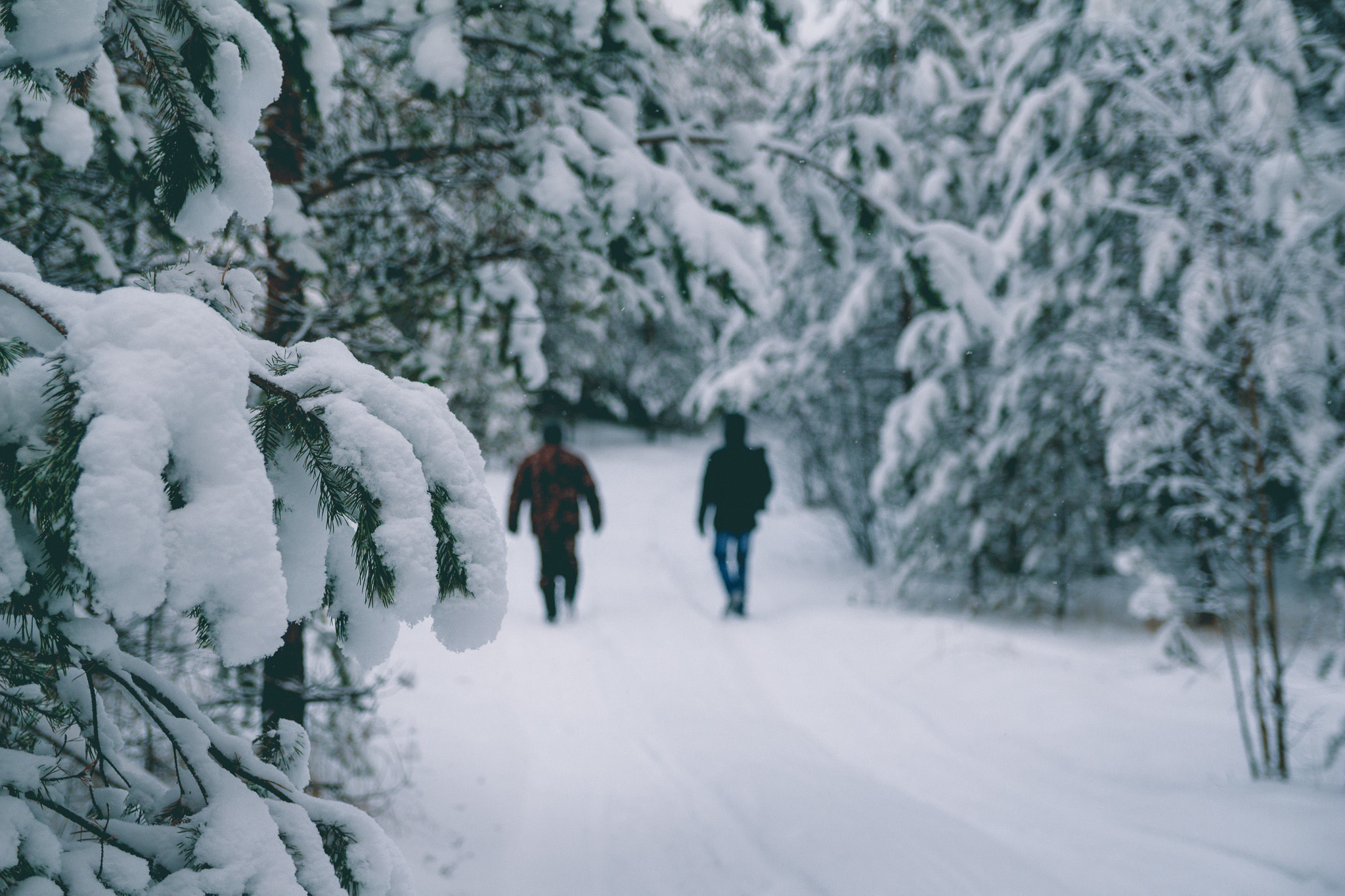 Подюга • Архангельская область. Творческая Мастерская Павла МАРЕЕВА