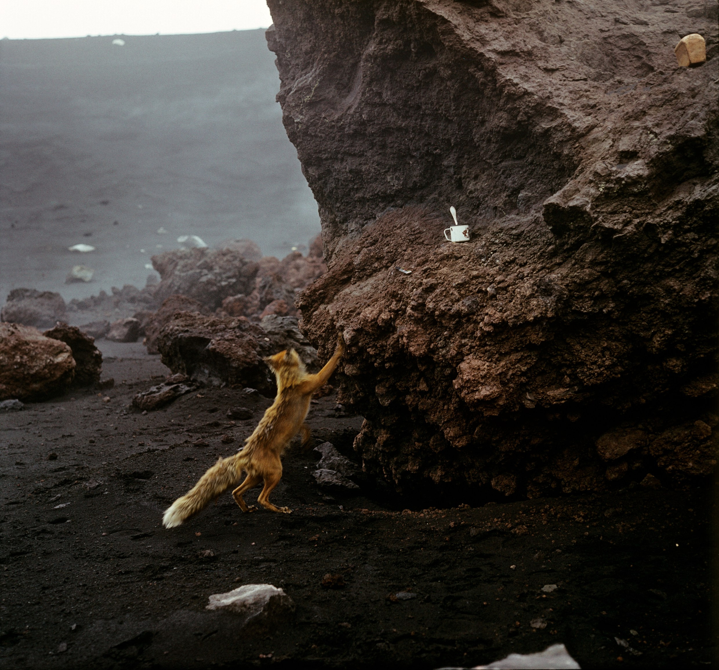 Курильские острова. ВАДИМ ГИППЕНРЕЙТЕР — ВЕЛИКИЙ ФОТОГРАФ ЗЕМЛИ РУССКОЙ