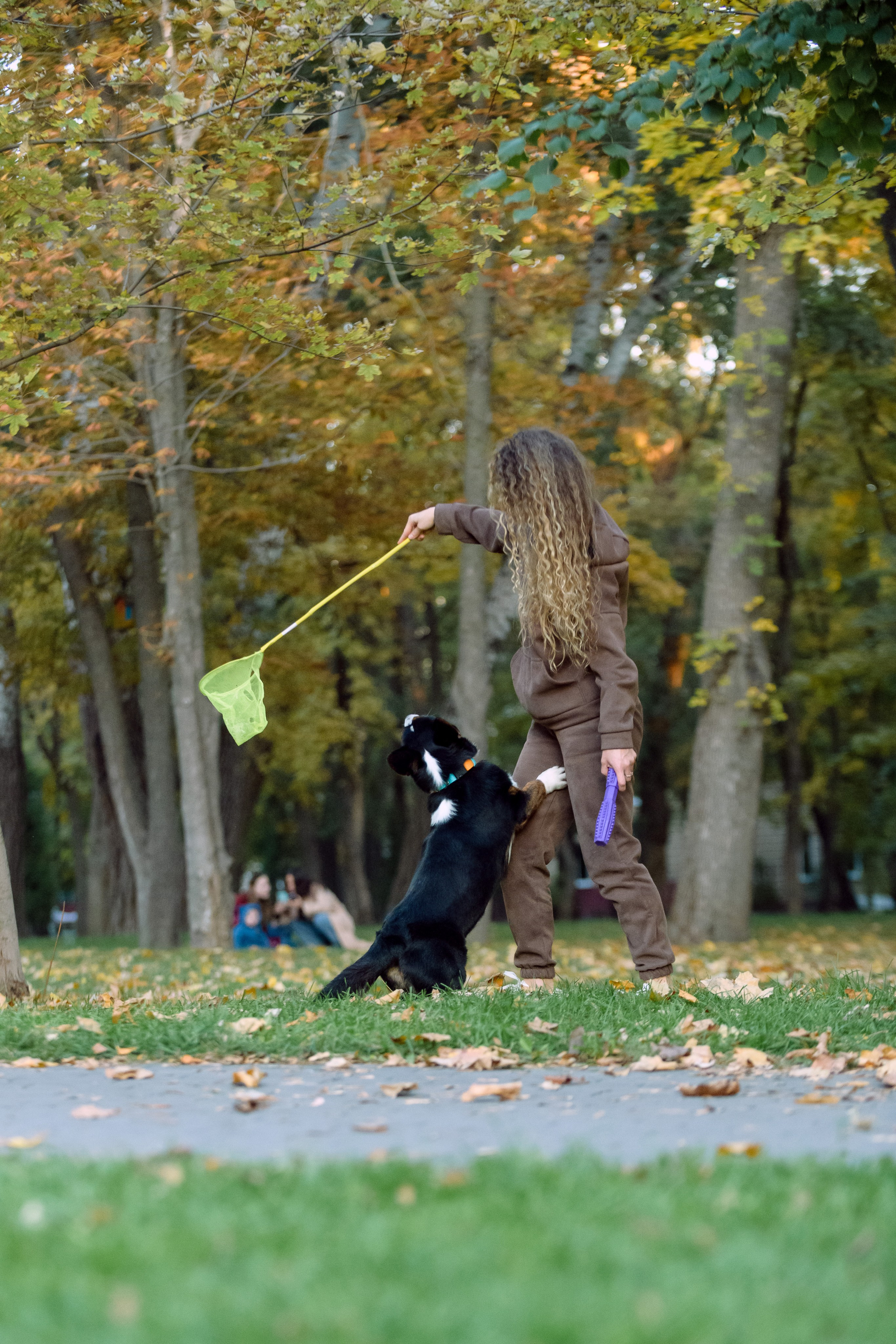 Оля и Ваня с собаками. Фотограф в Ростове-на-Дону Маркер Елена