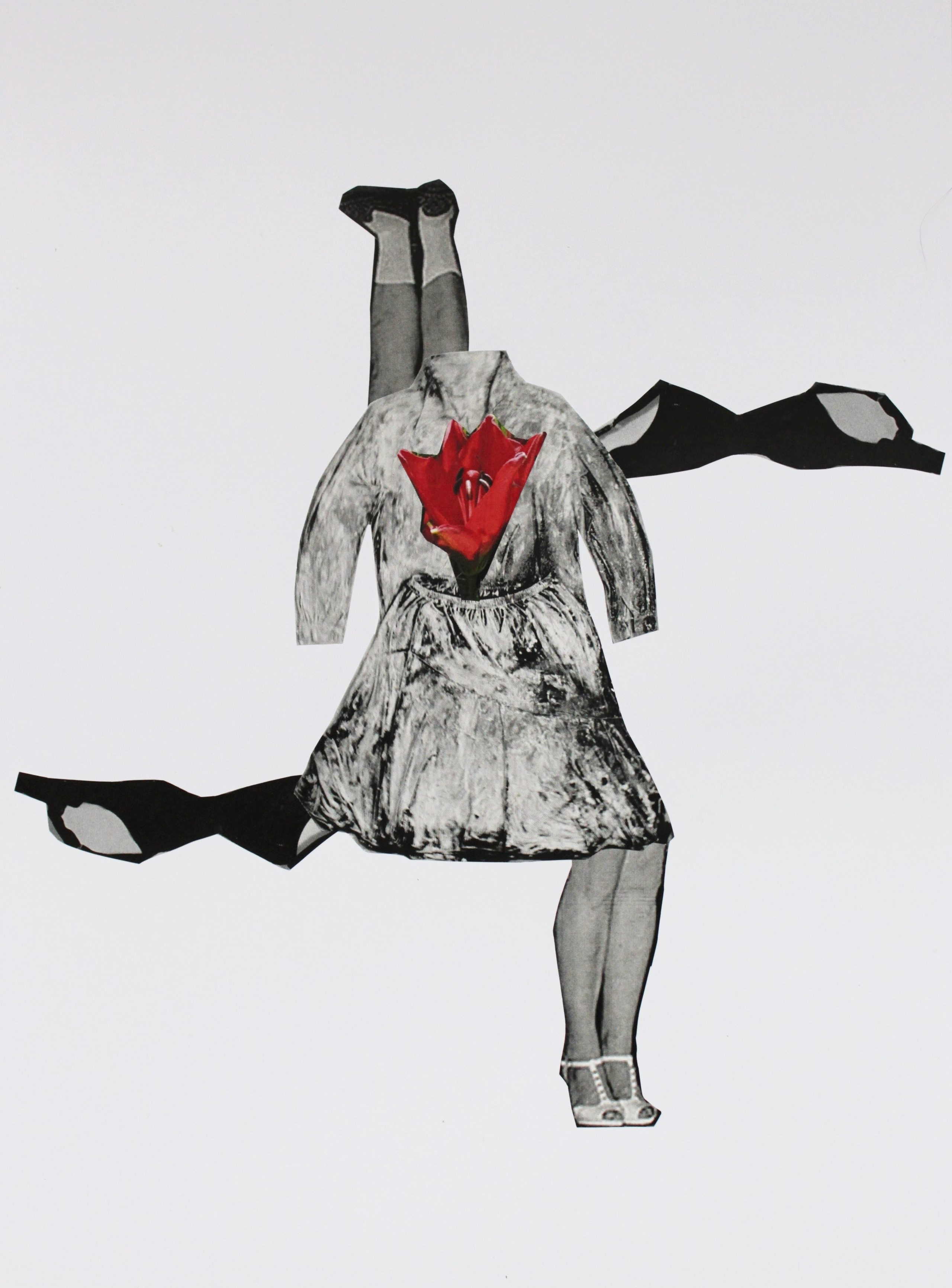 Коллаж. Серия «Перелетные птицы.». Лилия Ким. Междисциплинарный художник