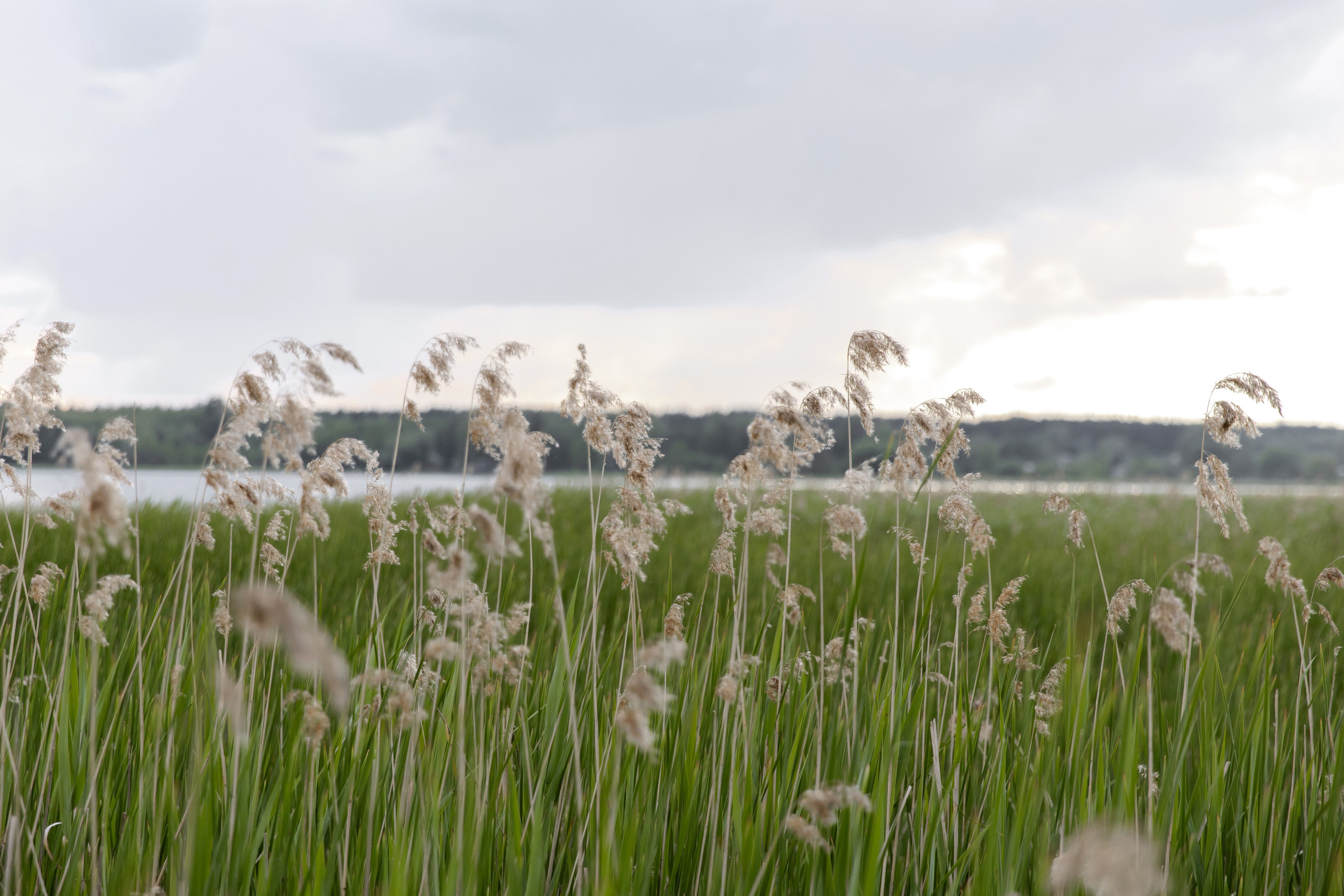 Свадебный день Сергея и Кати. Свадебный фотограф Анна Бабахина