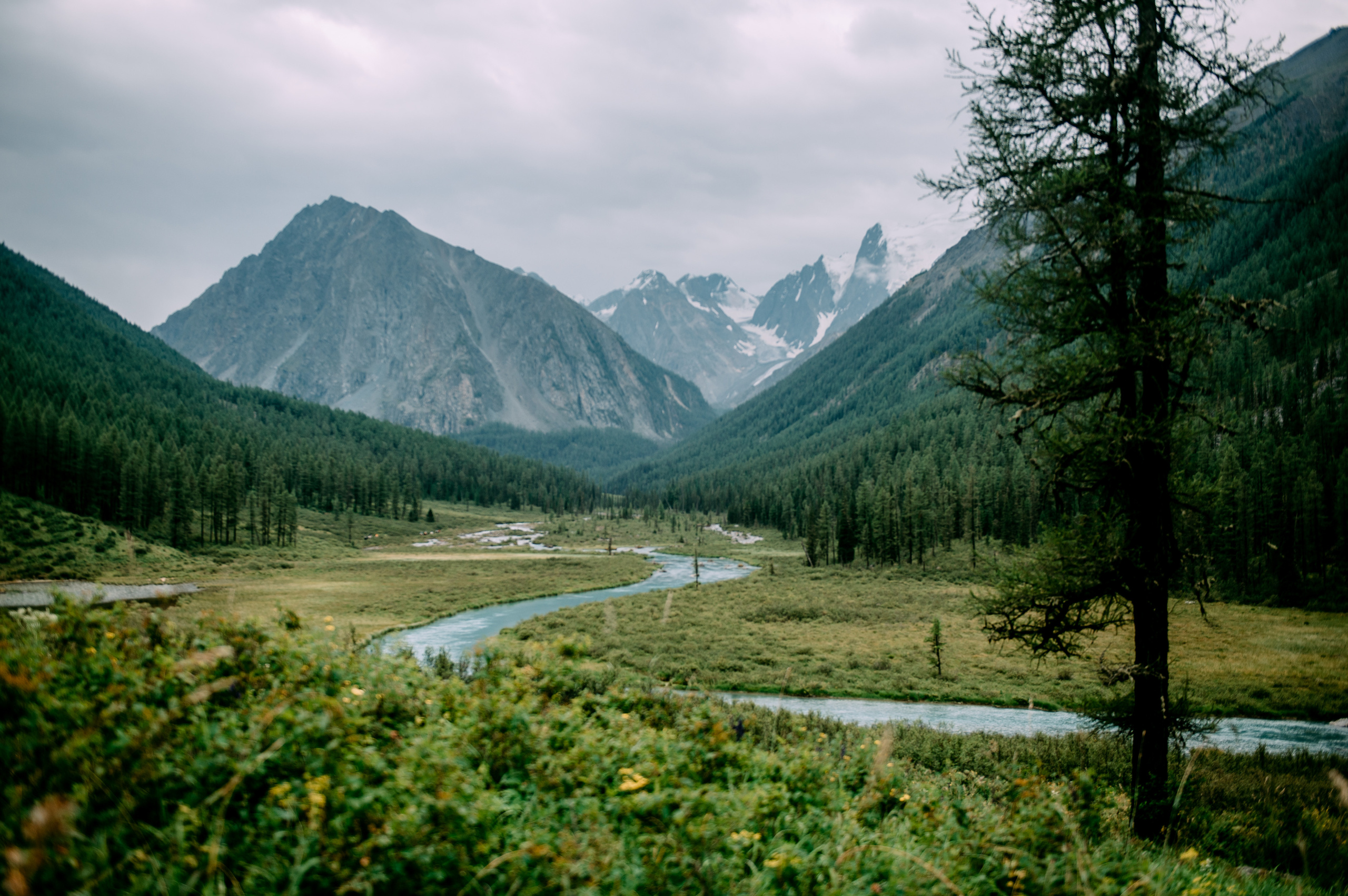 Алтай Шалинские озера. Фотограф Антон Инкин