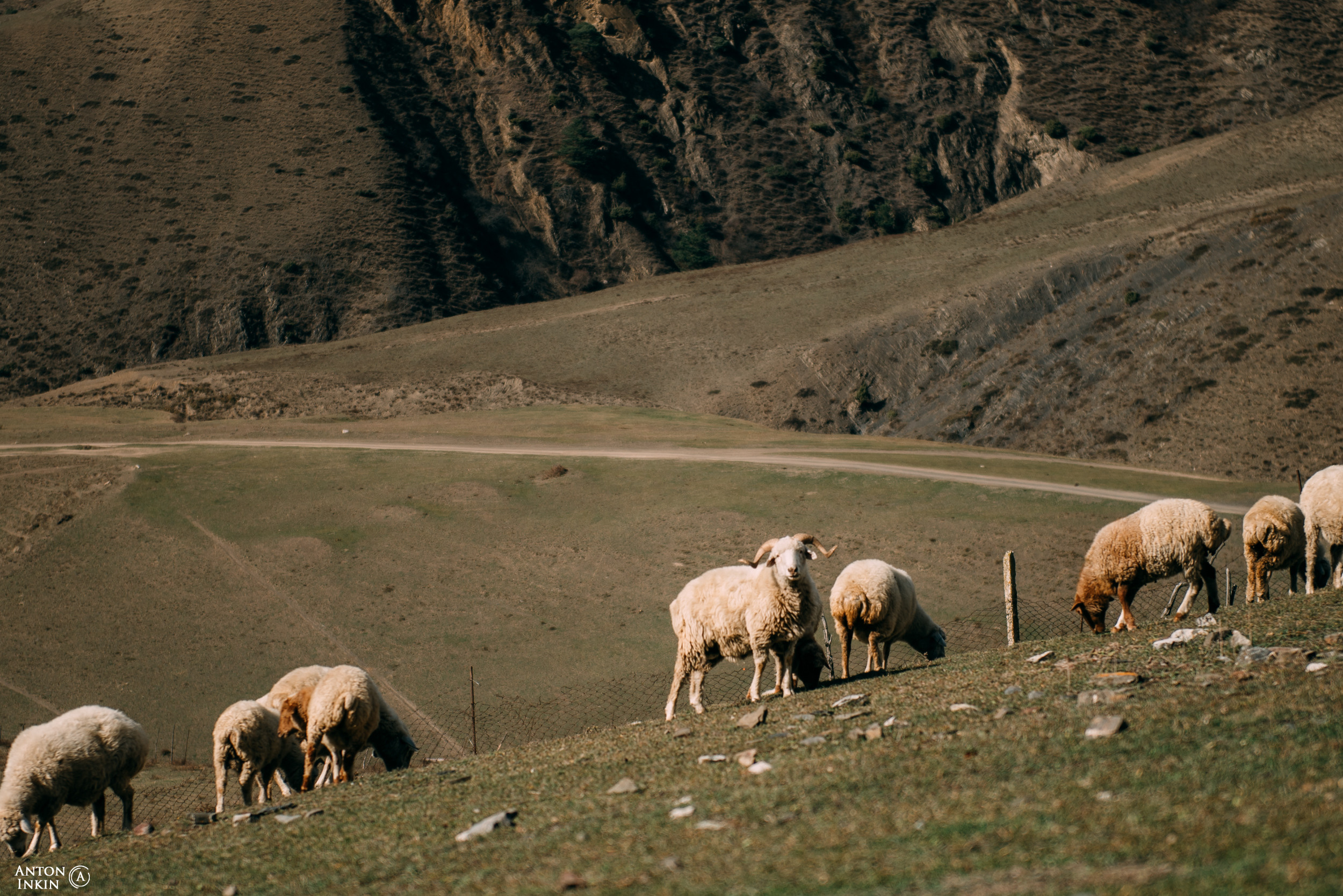 Осетия-Ингушетия-Чечня. Фотограф Антон Инкин
