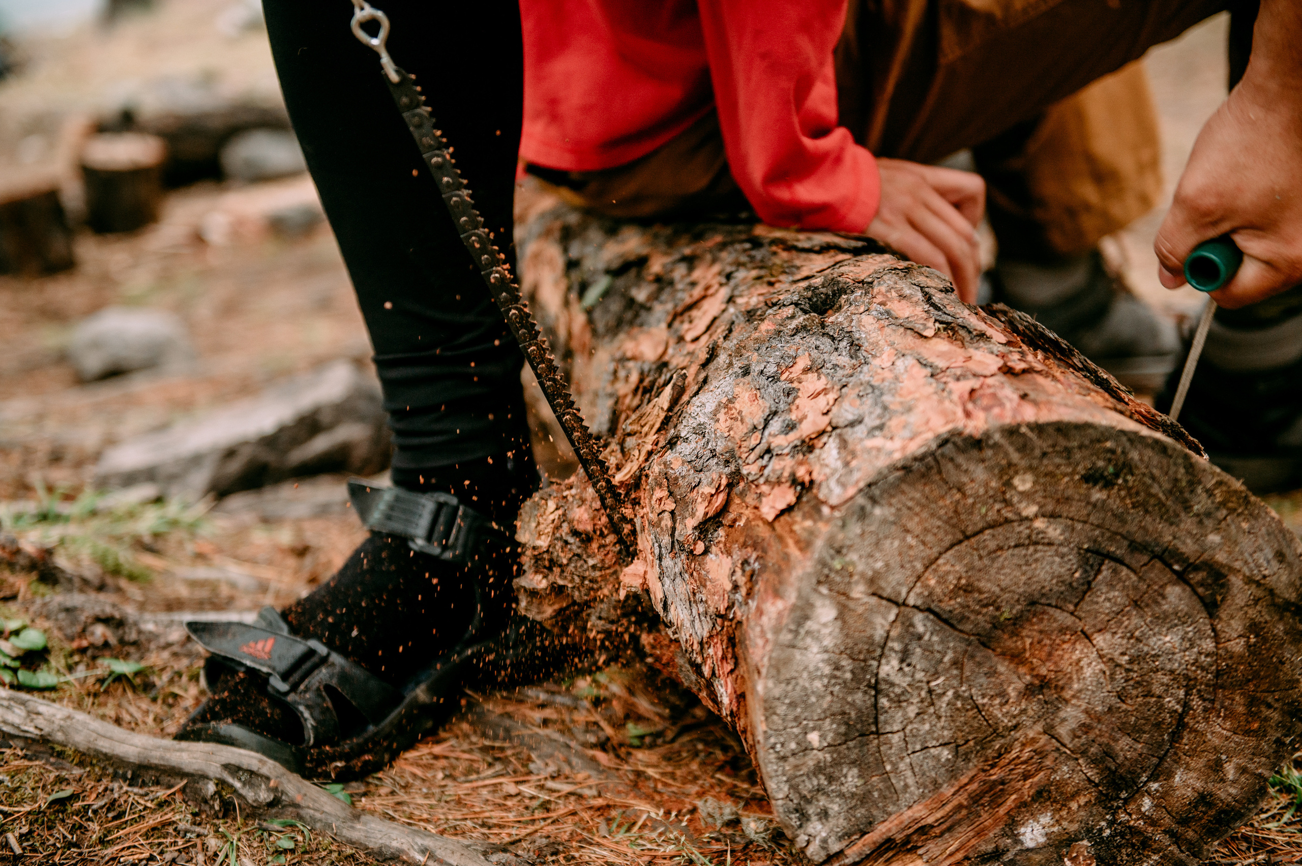 Алтай Шалинские озера. Фотограф Антон Инкин