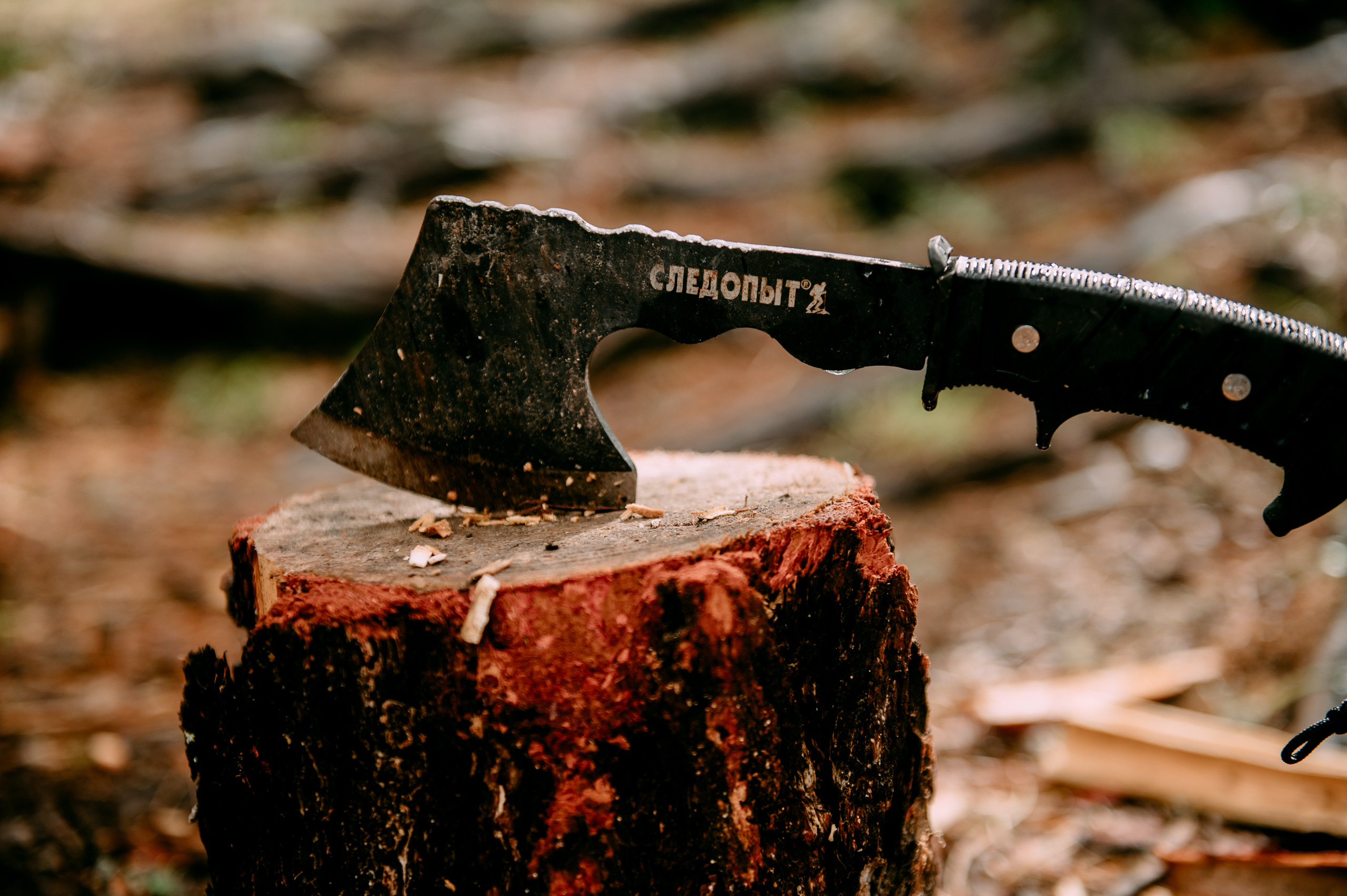 Алтай Шалинские озера. Фотограф Антон Инкин