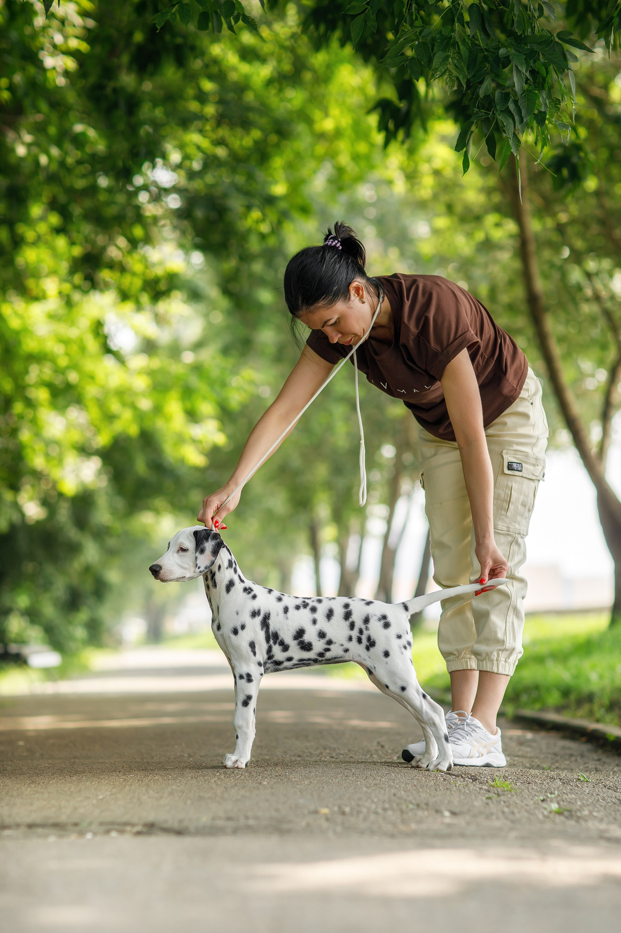 Фотосессия щенков. Фотограф для Вашей собаки