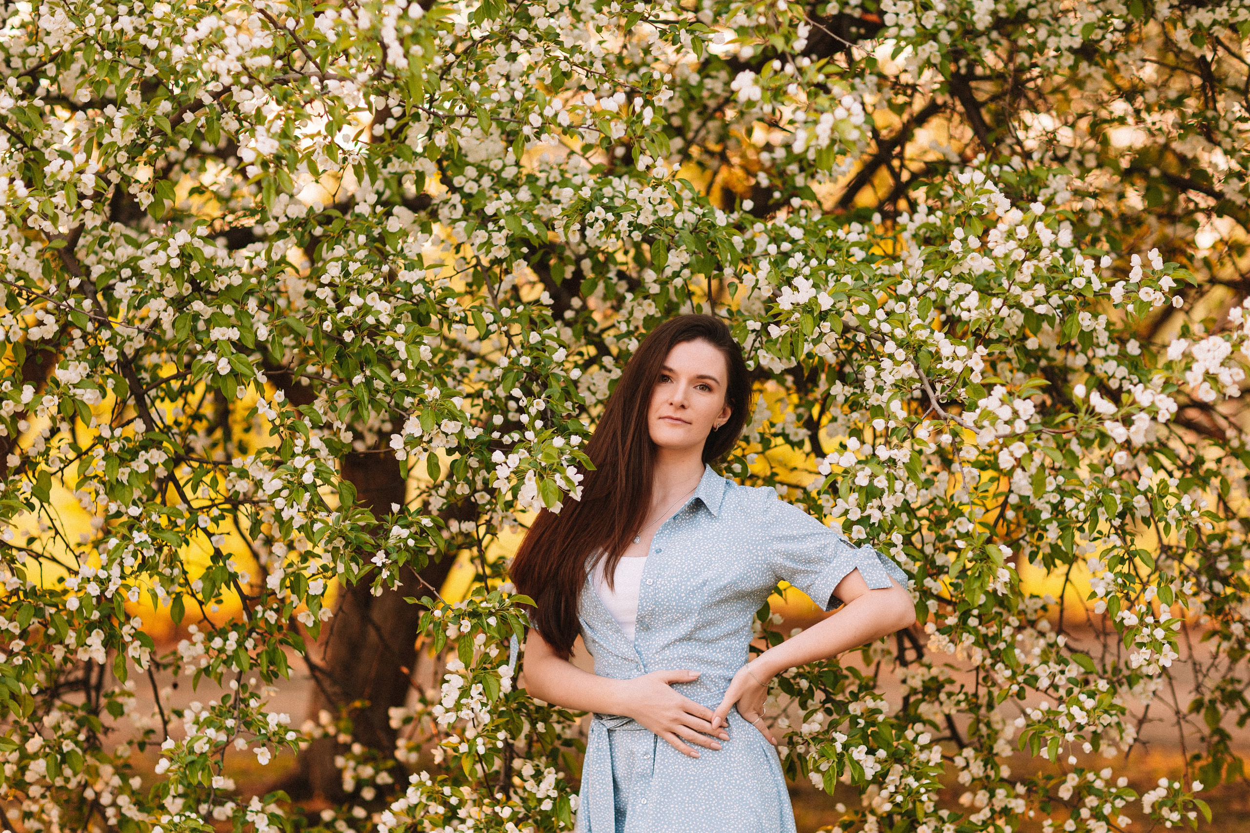 Яблони. Семейный фотограф Тюмень, фотограф на роды Салмина Мария