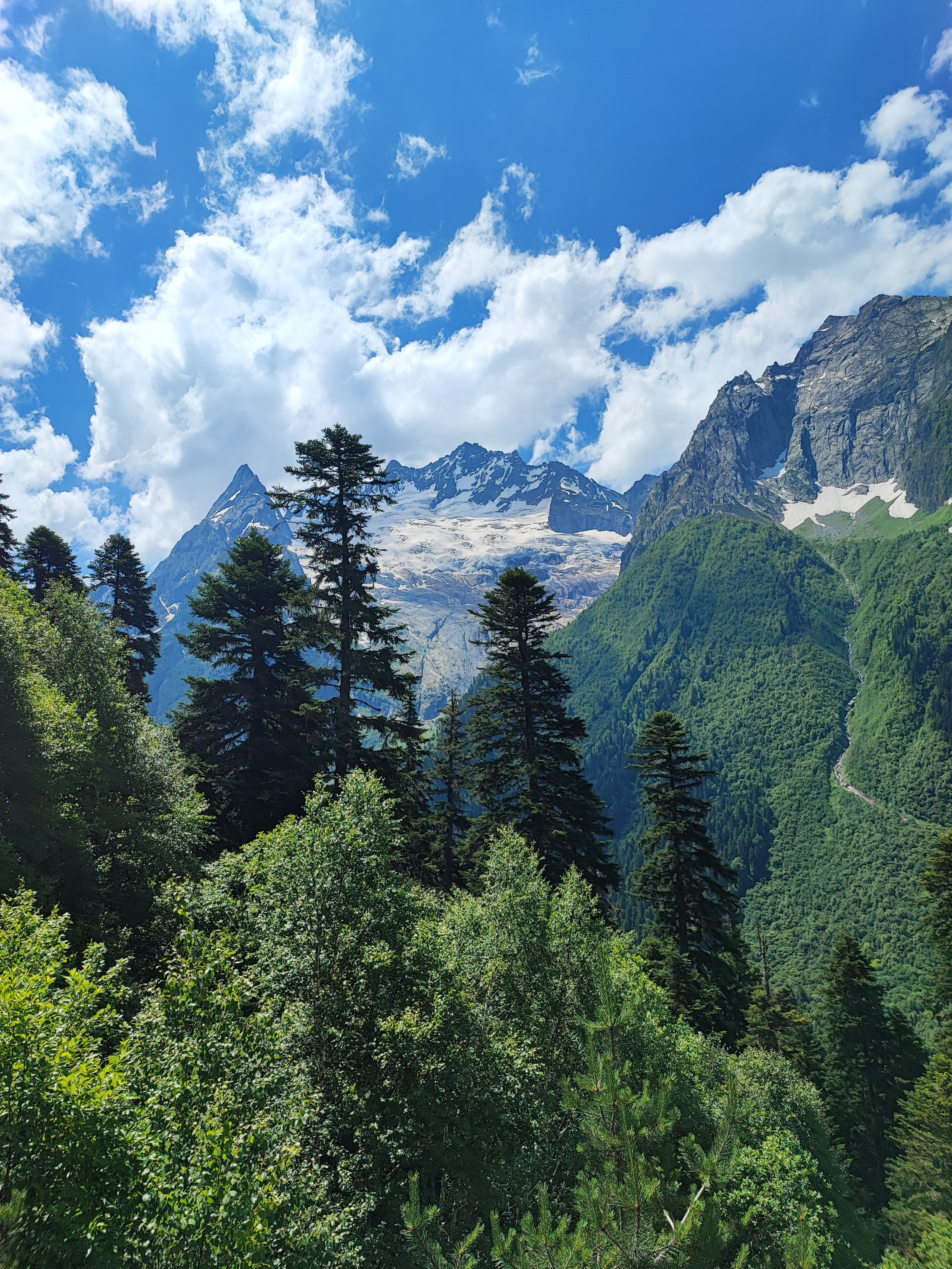 Намобилкус кавказский. Репортажный фотограф Алексей Пирязев
