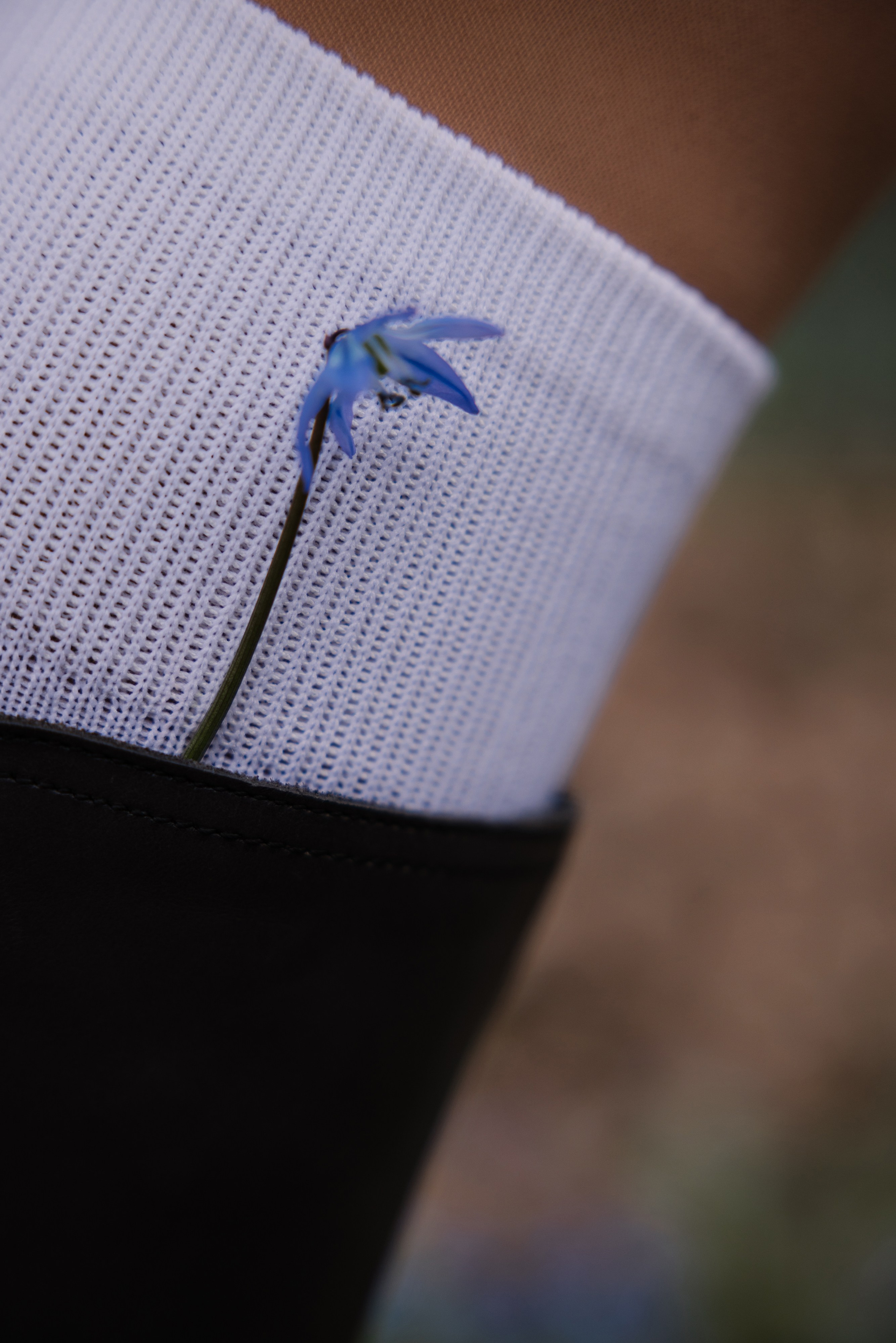 Вероника. Семейный фотограф Губкин/Старый Оскол