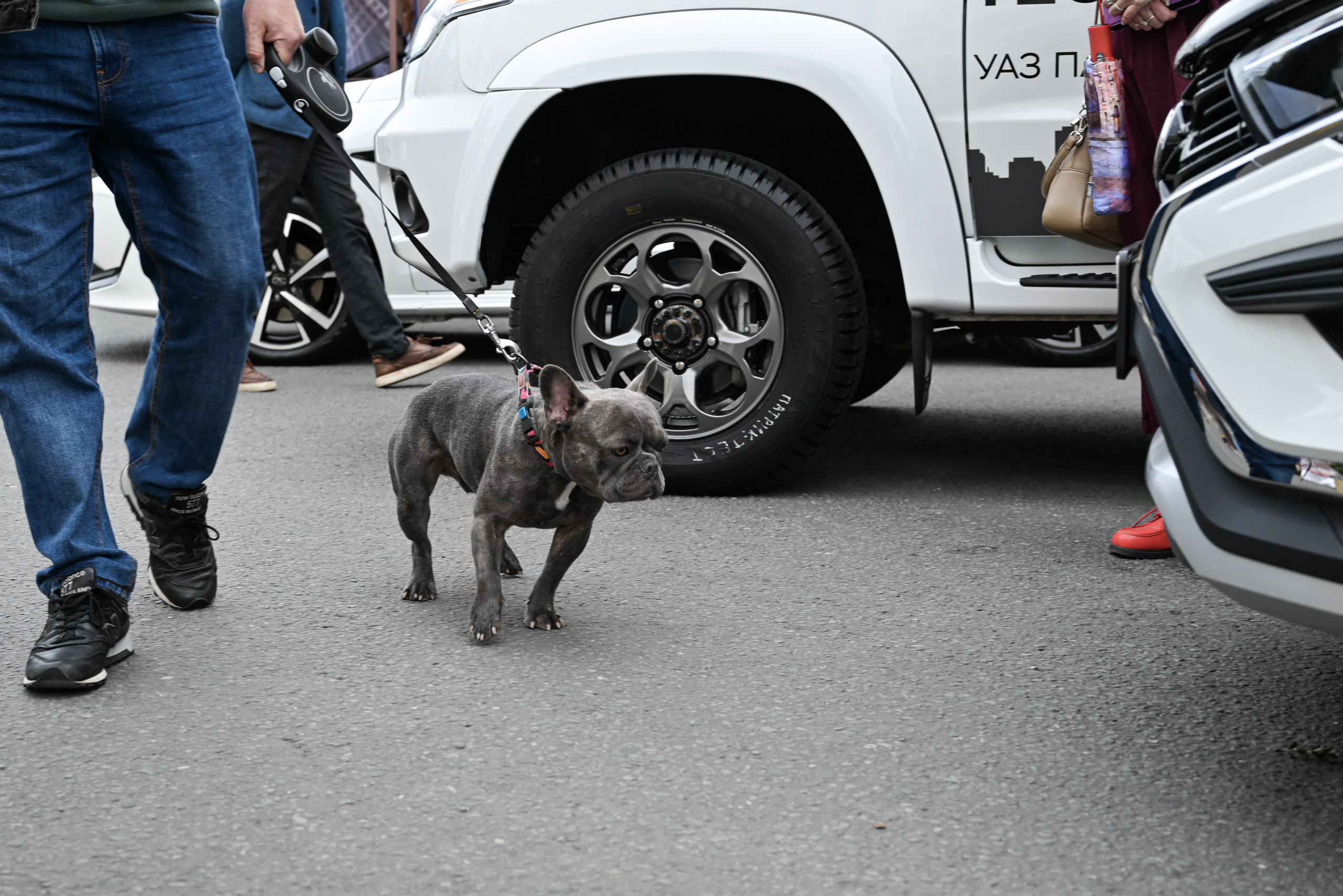ЛУИДОР выставка. Свадебный и семейный фотограф в Уфе Александров Максим