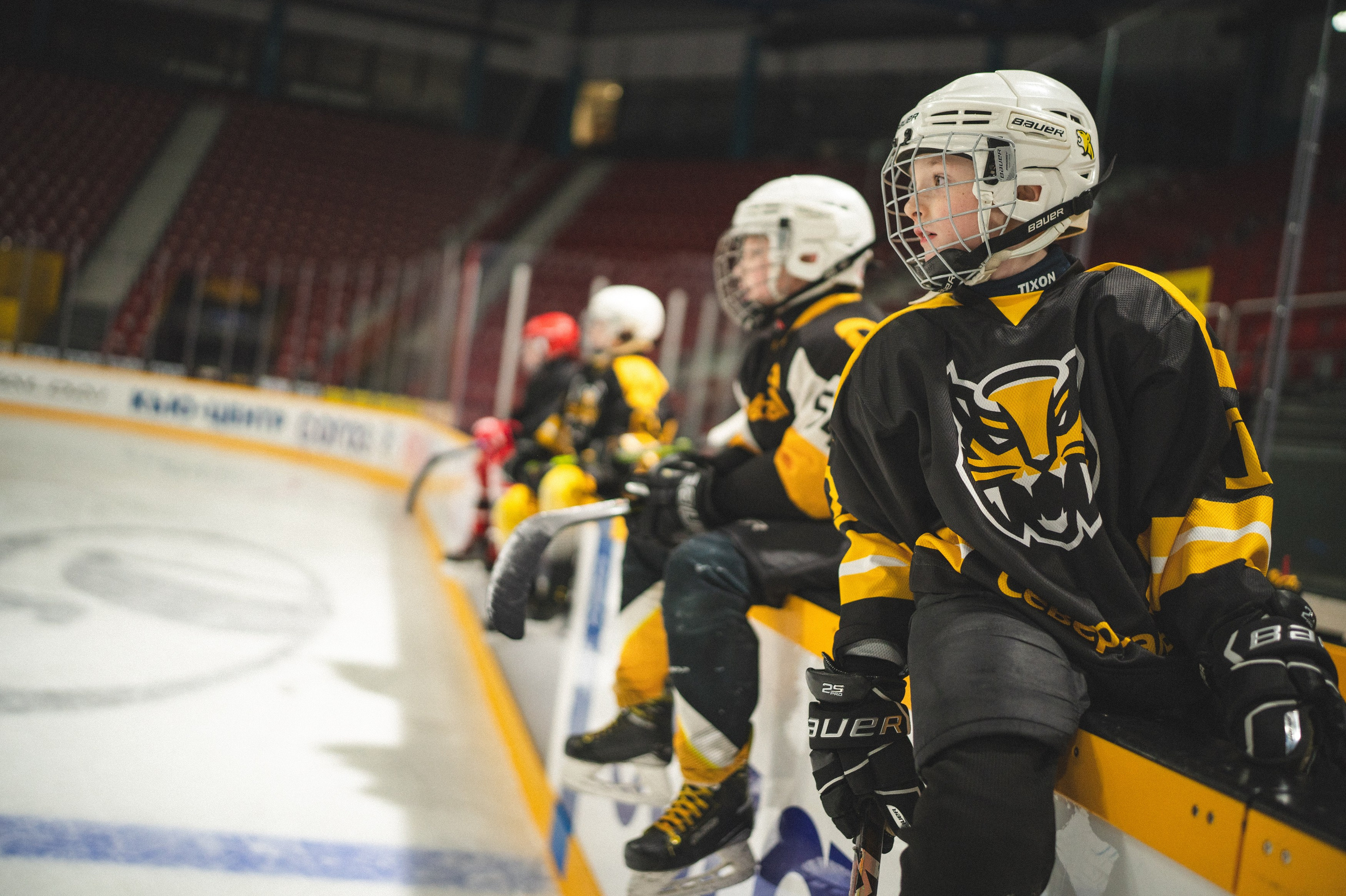 ХК Северсталь (младшая группа). Череповец. Zekons. Фото, видео, нейросети