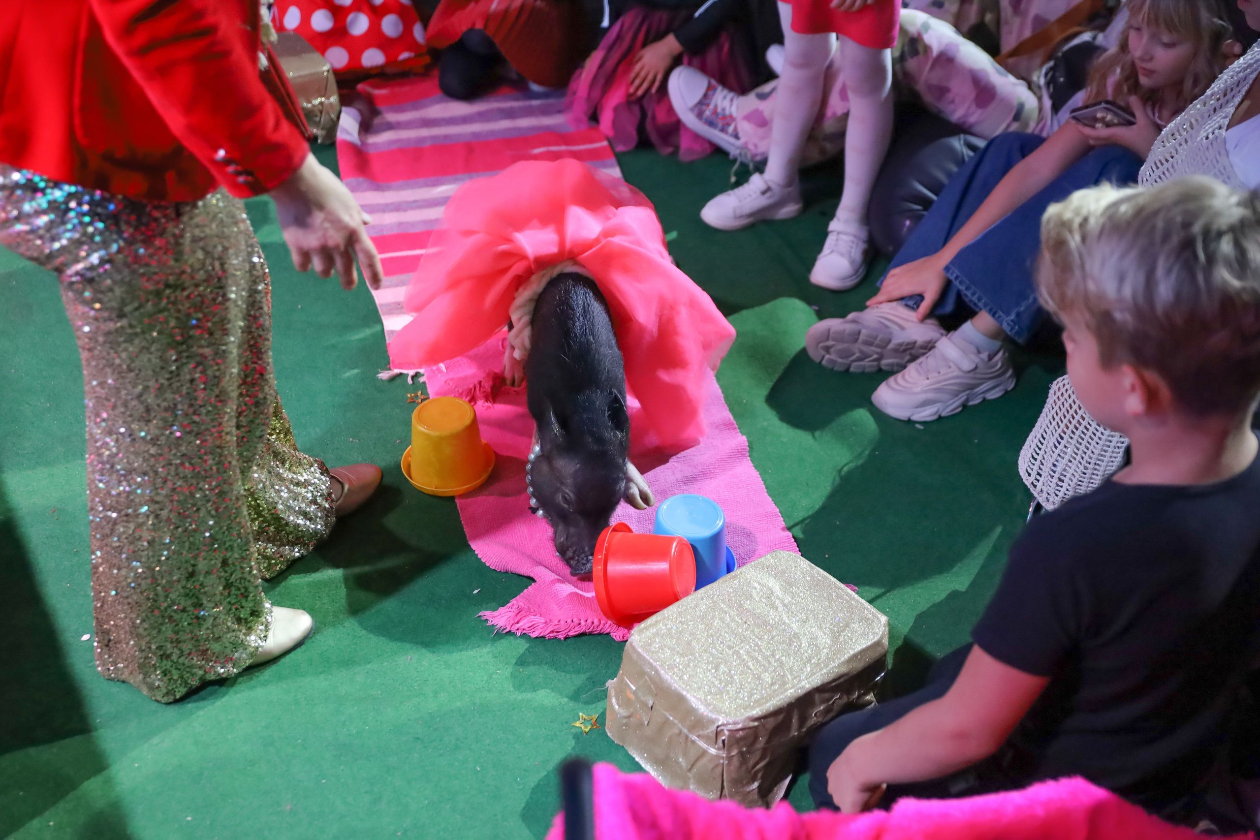 ДЕНЬ РОЖДЕНИЯ ЕВЫ В КРБ. Фотограф мероприятий Ирина Каширина