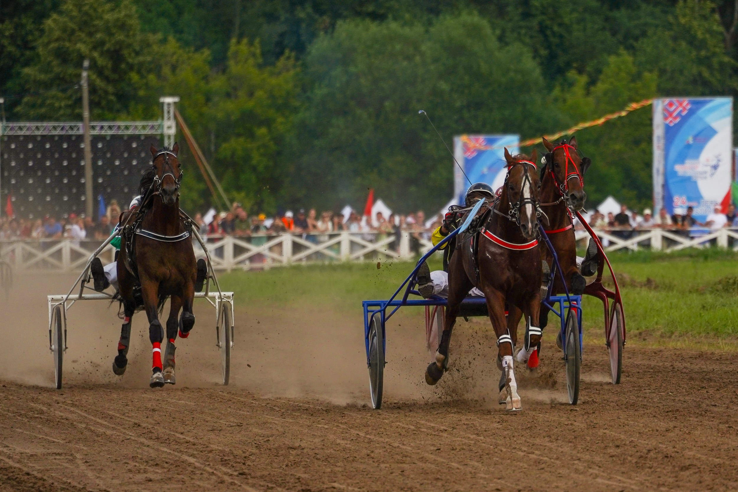 III конные бега на Кубок Главы Чувашии. Фотограф-анималист, портретный фотограф в Чебоксарах Мария Садыкова
