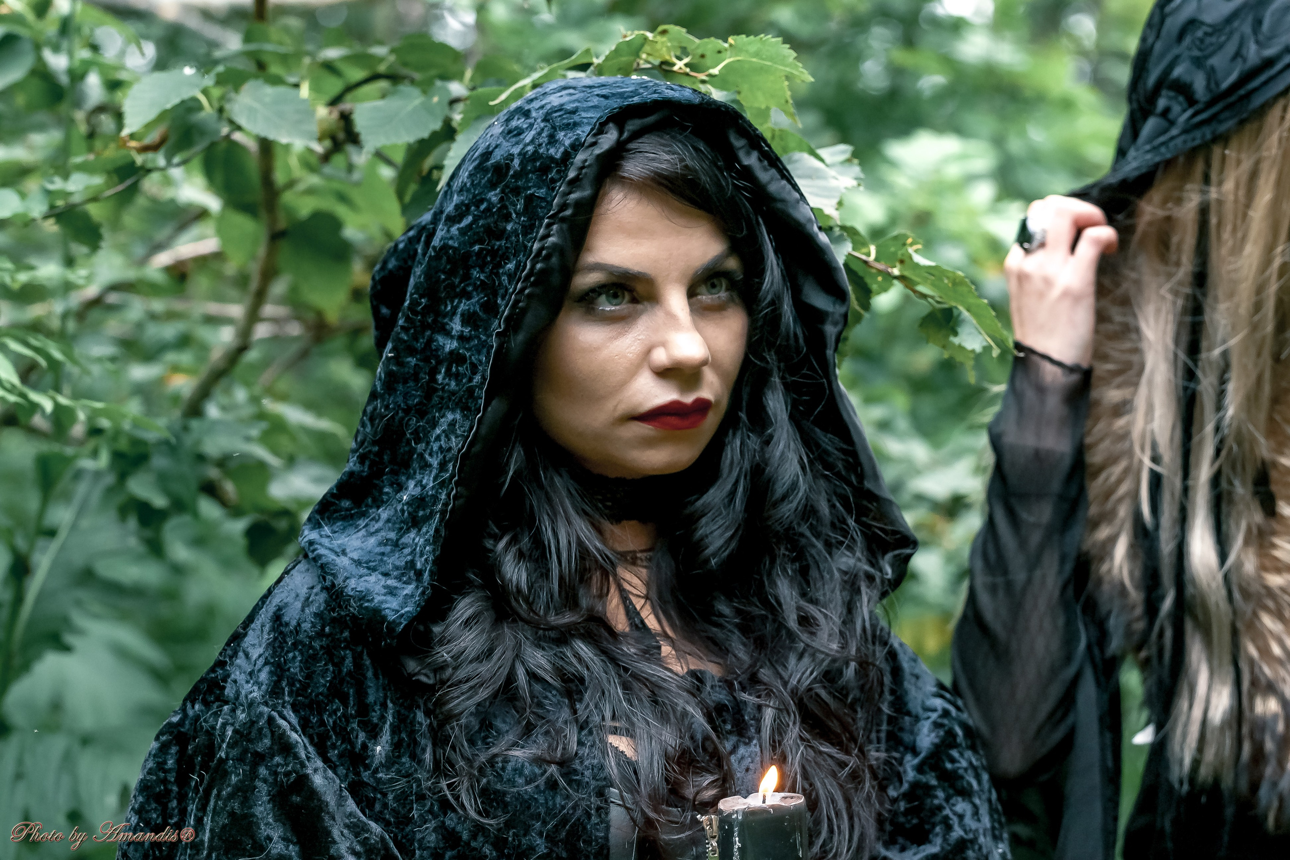 The witches. Репортажная съемка в Москве и области. Анималистика