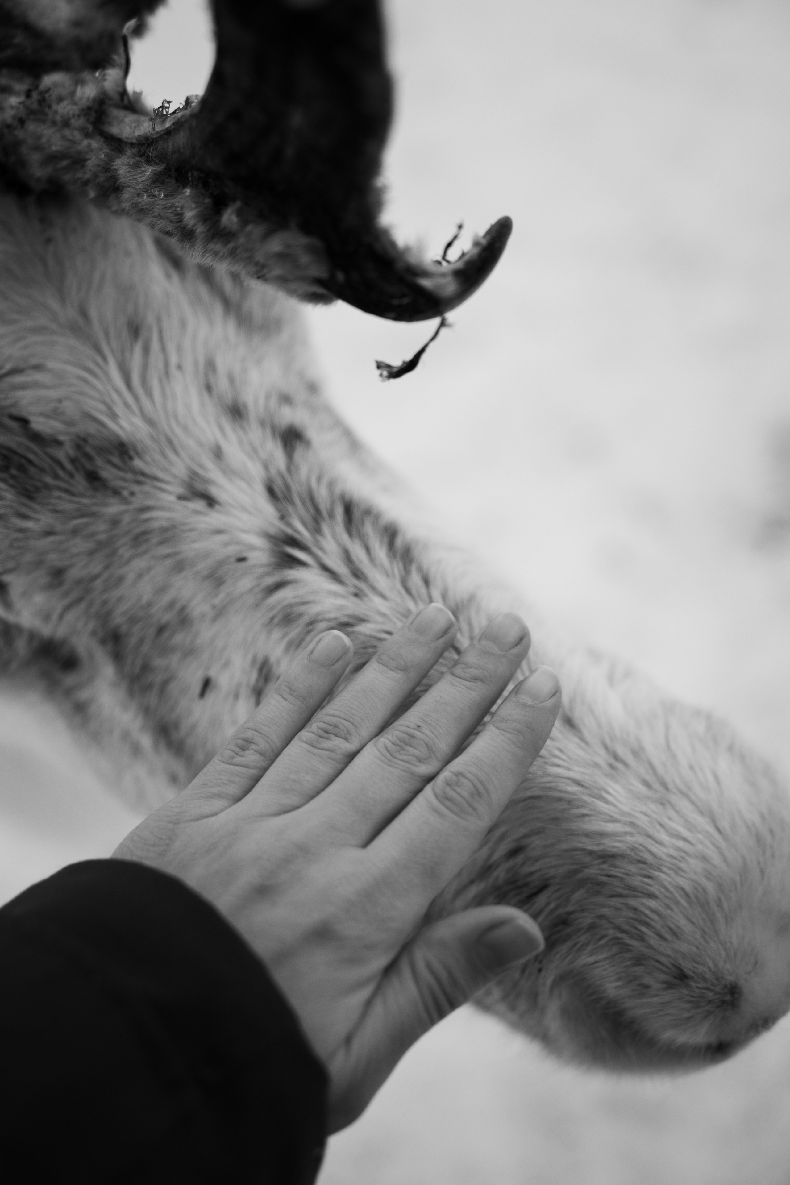 Териберка — репортаж тура Ковчег 51. Видеограф в Санкт-Петербурге Анастасия Коок