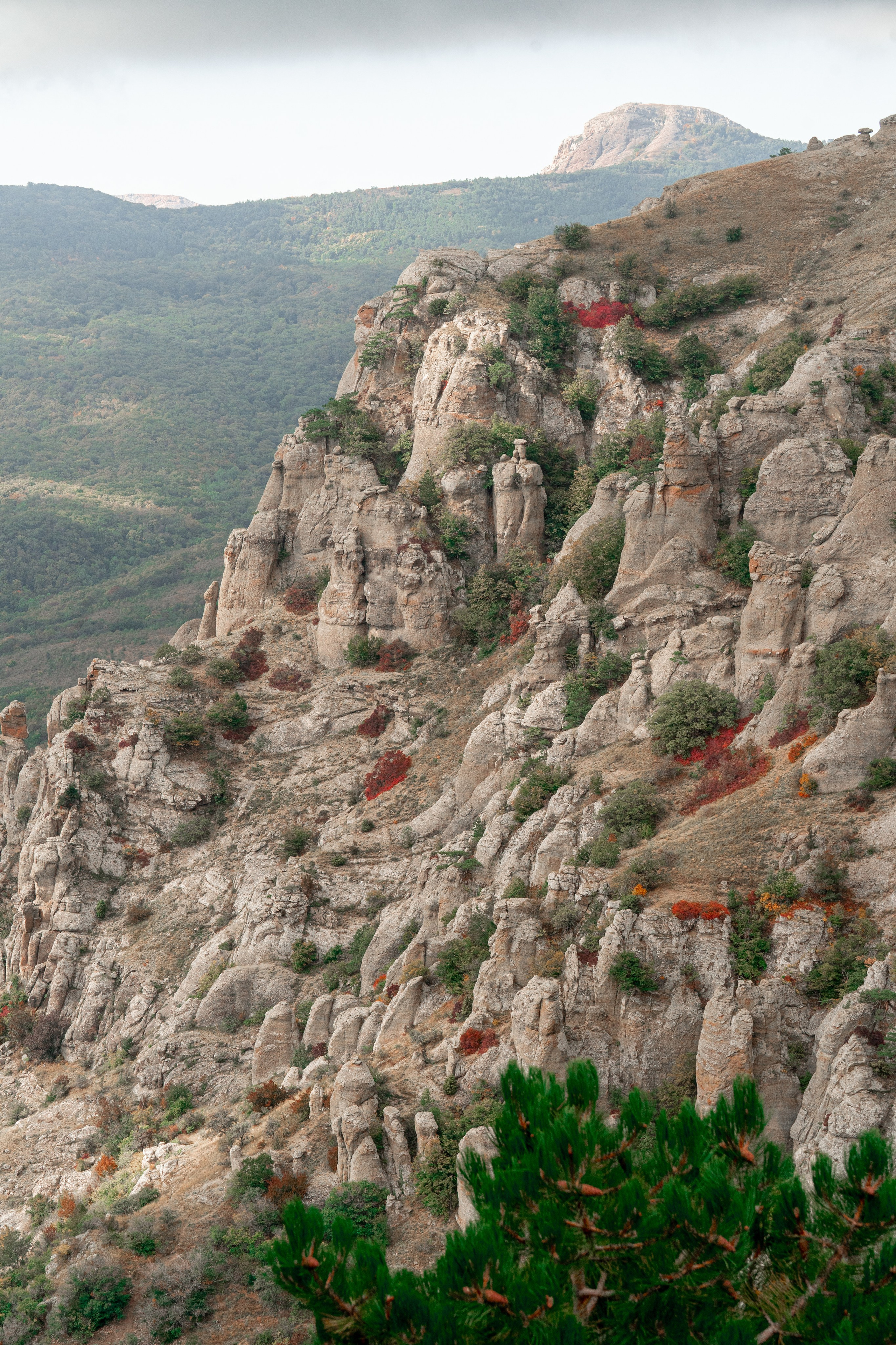 Путешествия и пейзаж. Репортажный фотограф в Красной Поляне и Сочи Павлюченко Екатерина