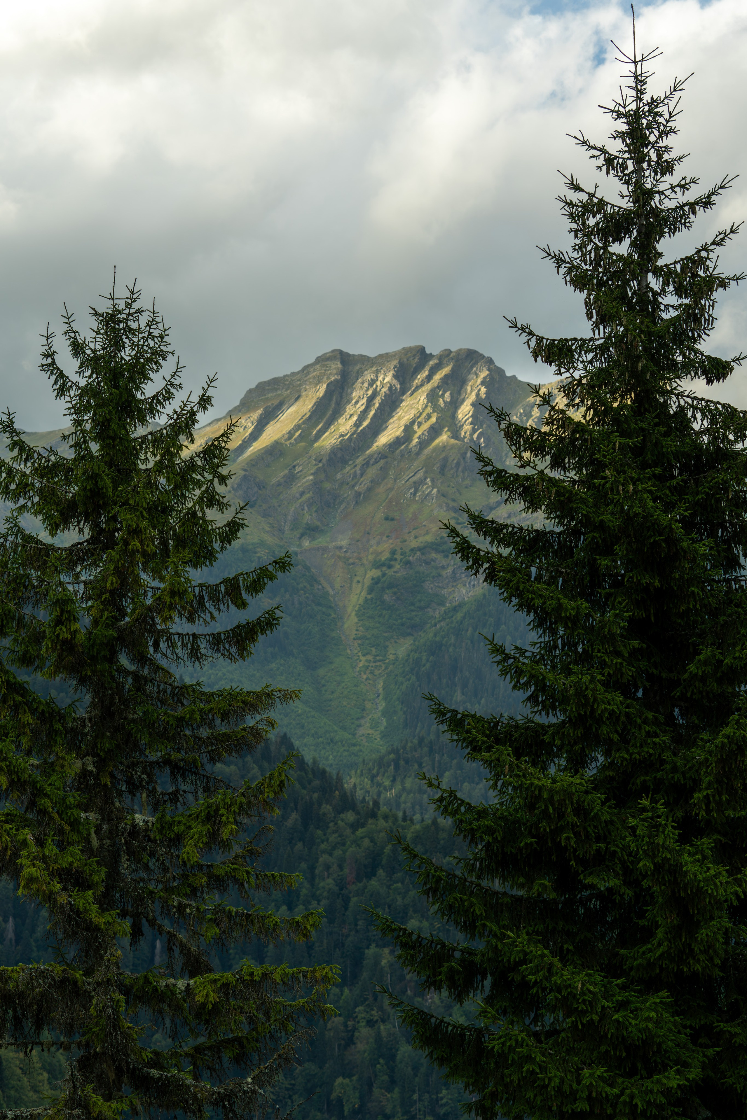 MICE мероприятие — тур по Абхазии. Репортажный фотограф в Красной Поляне и Сочи Павлюченко Екатерина