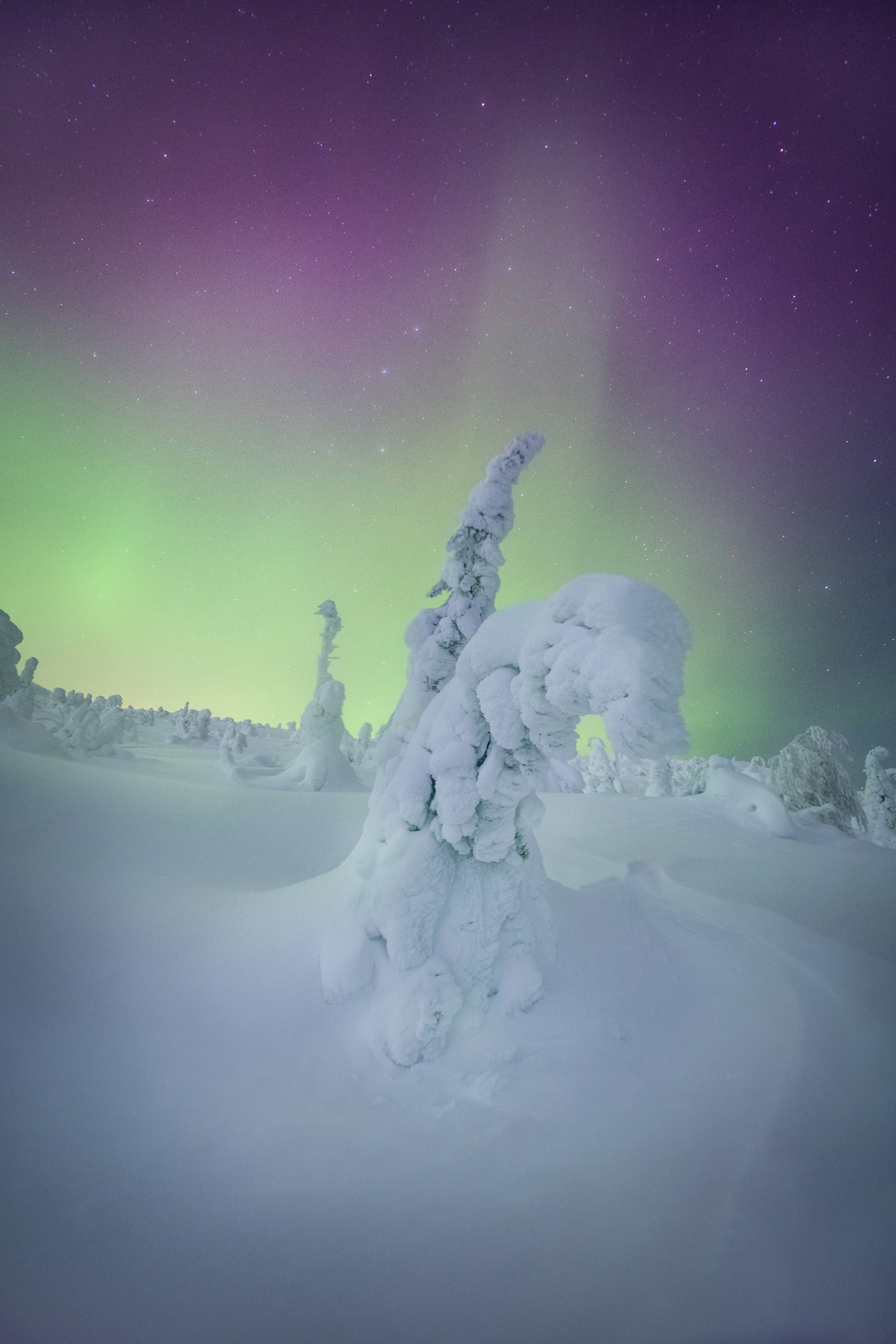 Пейзажный фотограф Ермолина Елена