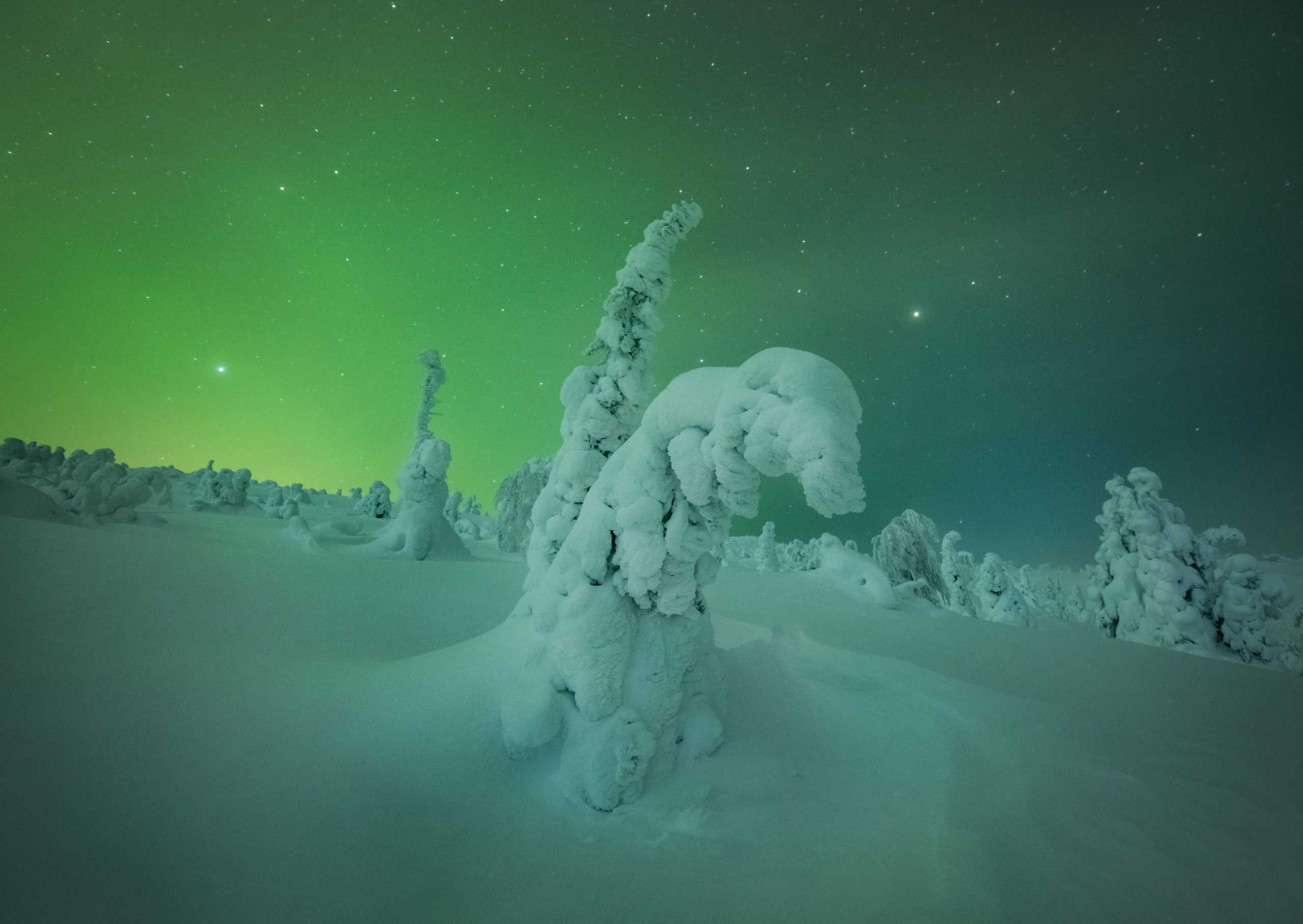 Пейзажный фотограф Ермолина Елена