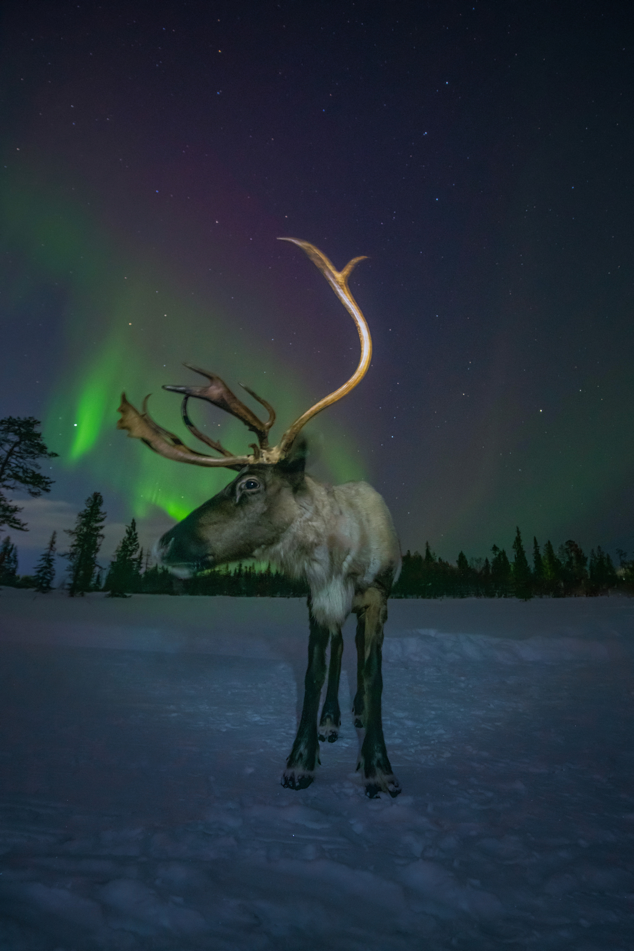 Пейзажный фотограф Ермолина Елена