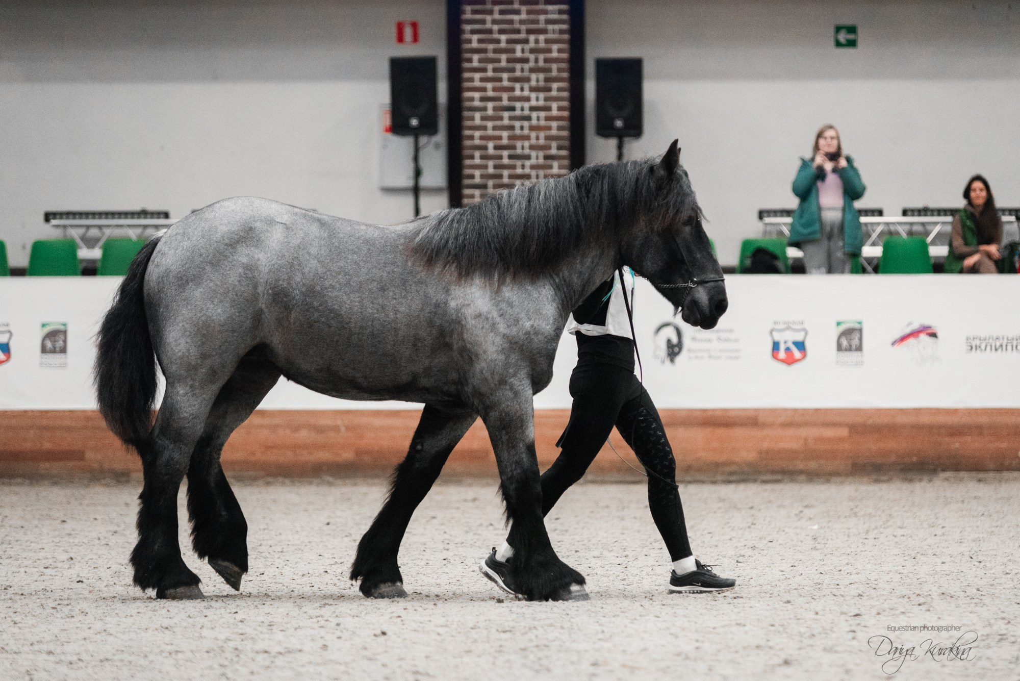 8-я международная выставка Конная Россия. Конный фотограф Куракина Дарья • Фотосессии с лошадьми