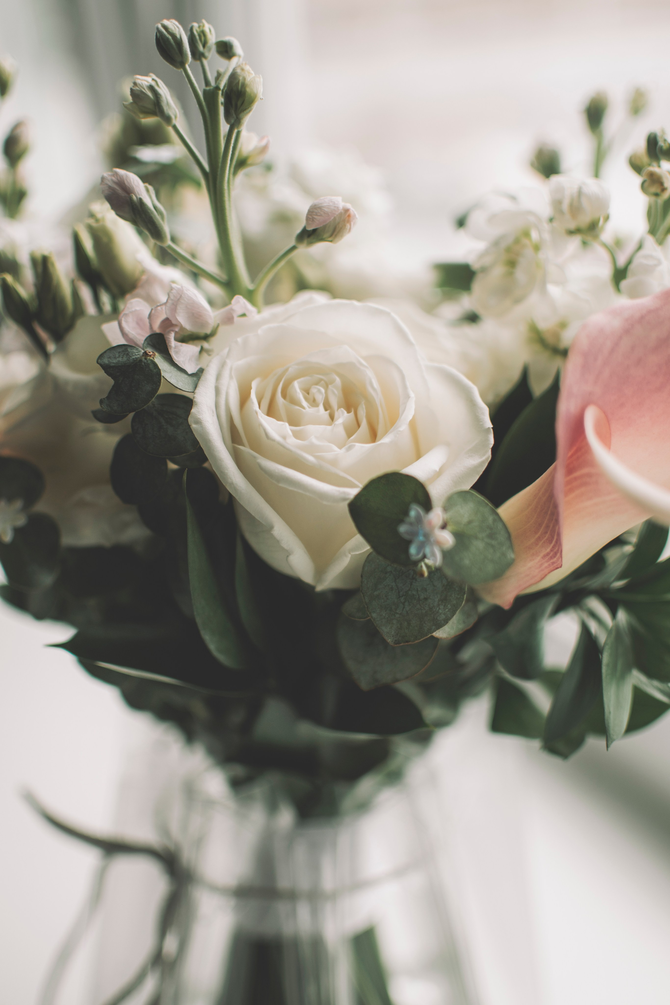 Альберт и Анастасия (Студийная фотосессия, роспись в ДК Нефтяник + фотосессия с гостями). Семейный и свадебный фотограф Губкинский и Ставрополь