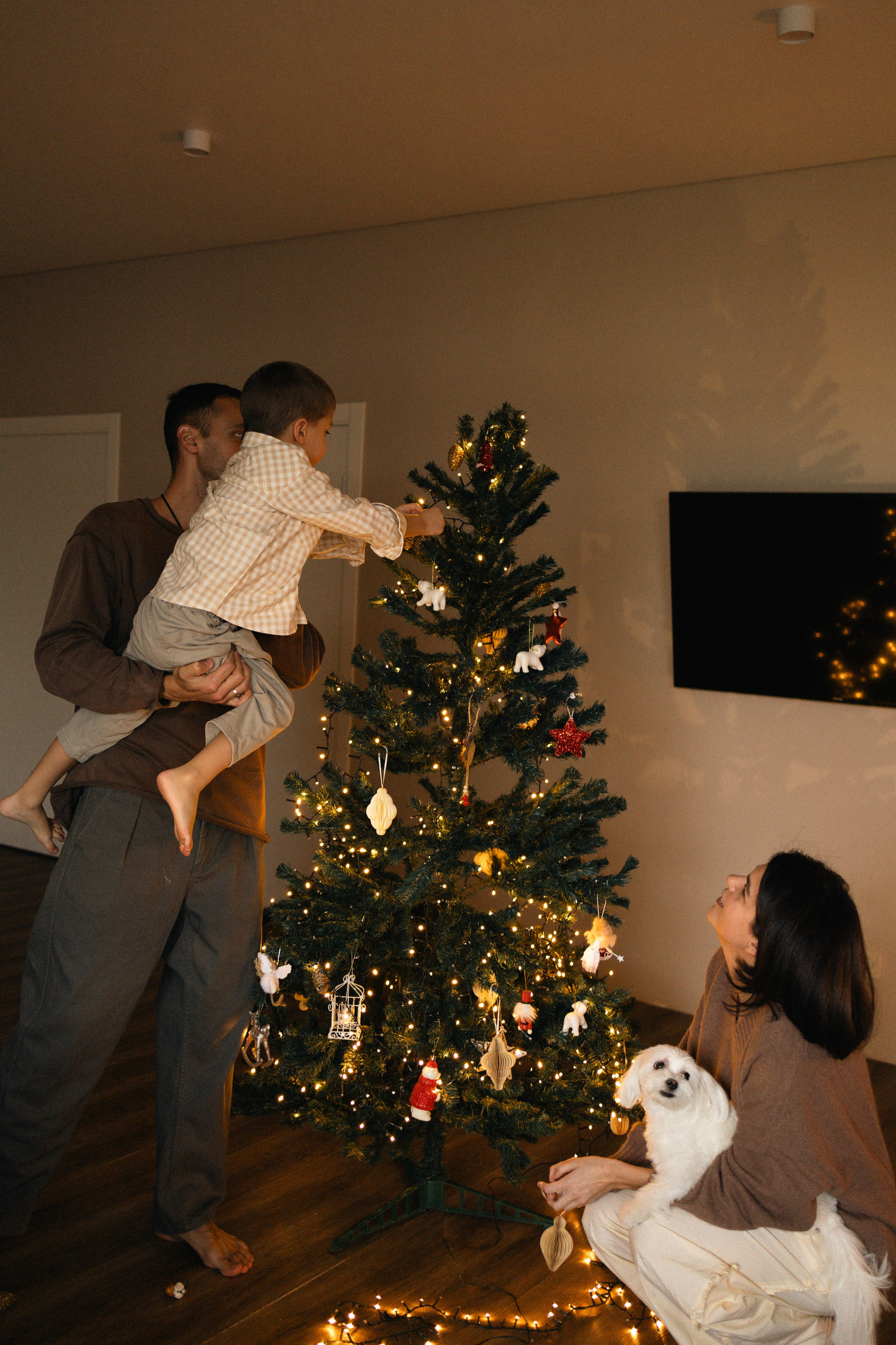 Домашняя. Фотограф Полина Абрамова