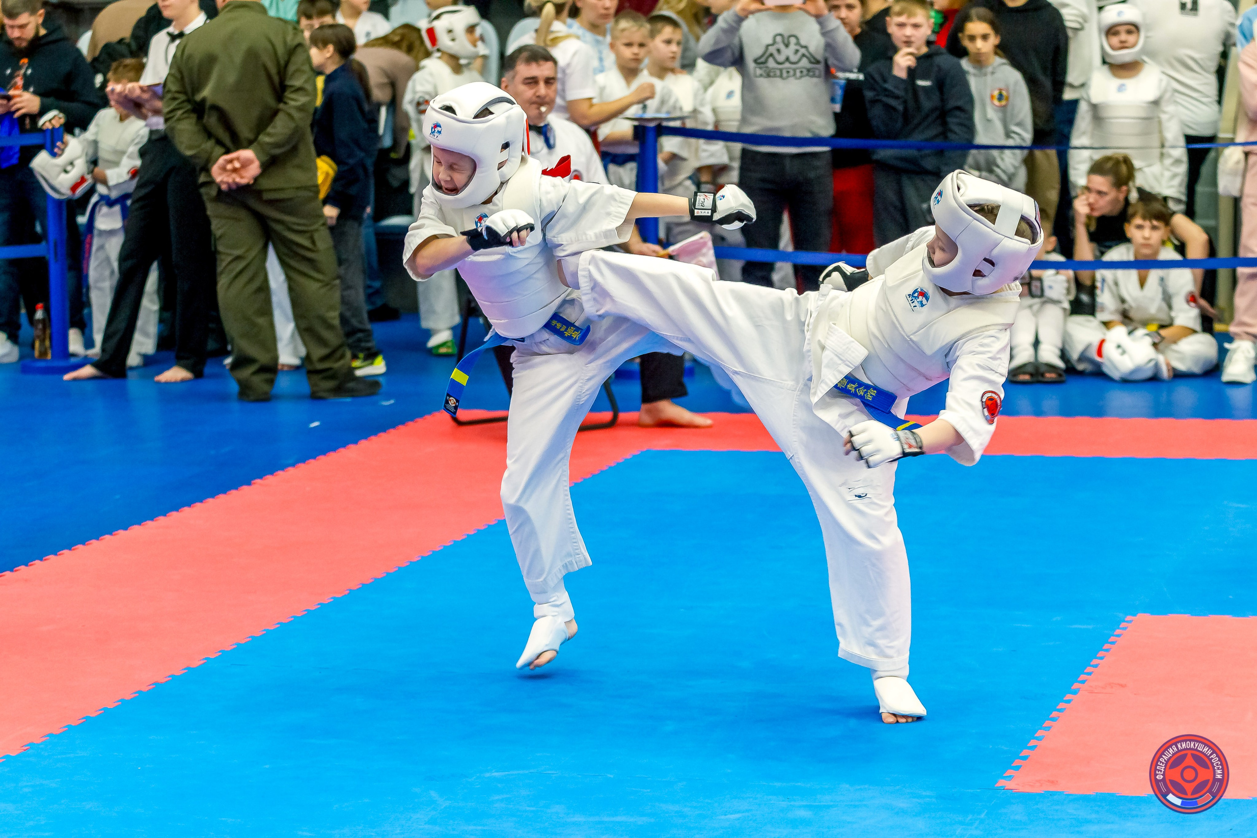 Международный турнир по киокушин «Открытый кубок Seiken». Репортажная съемка в Москве и области. Анималистика