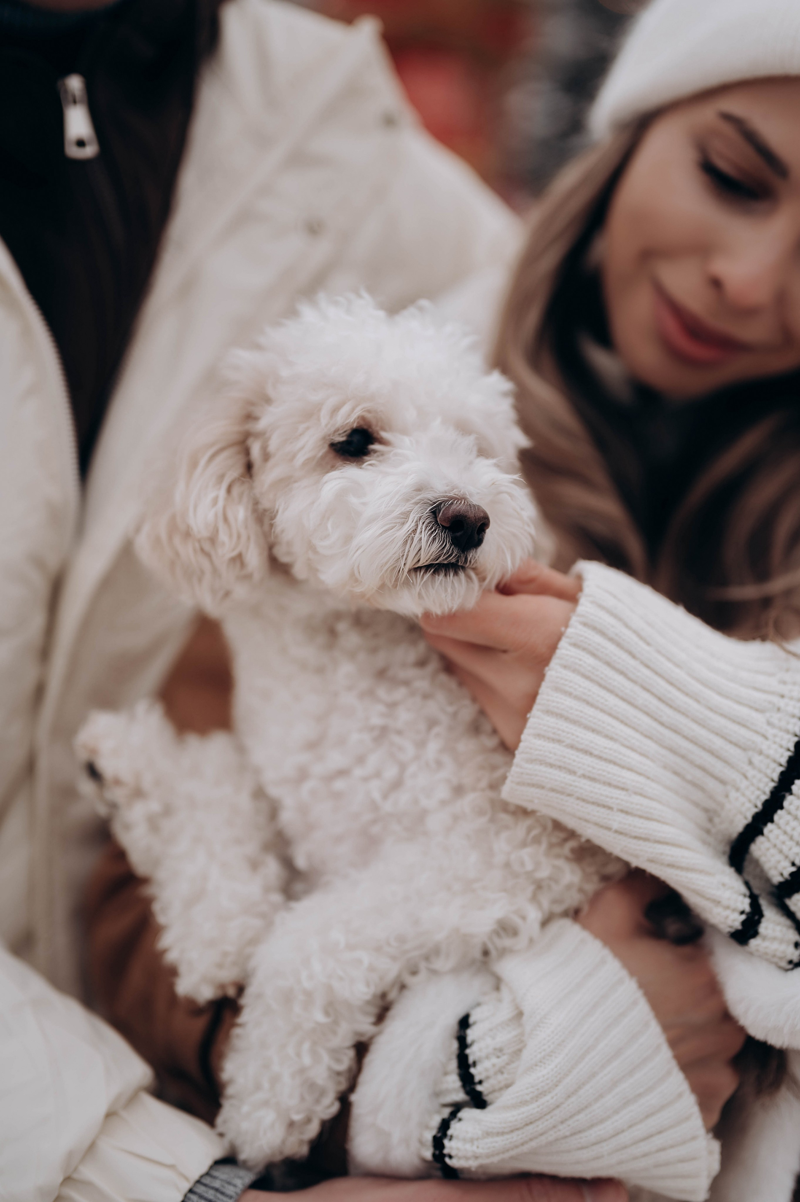 Семейные истории. Главная