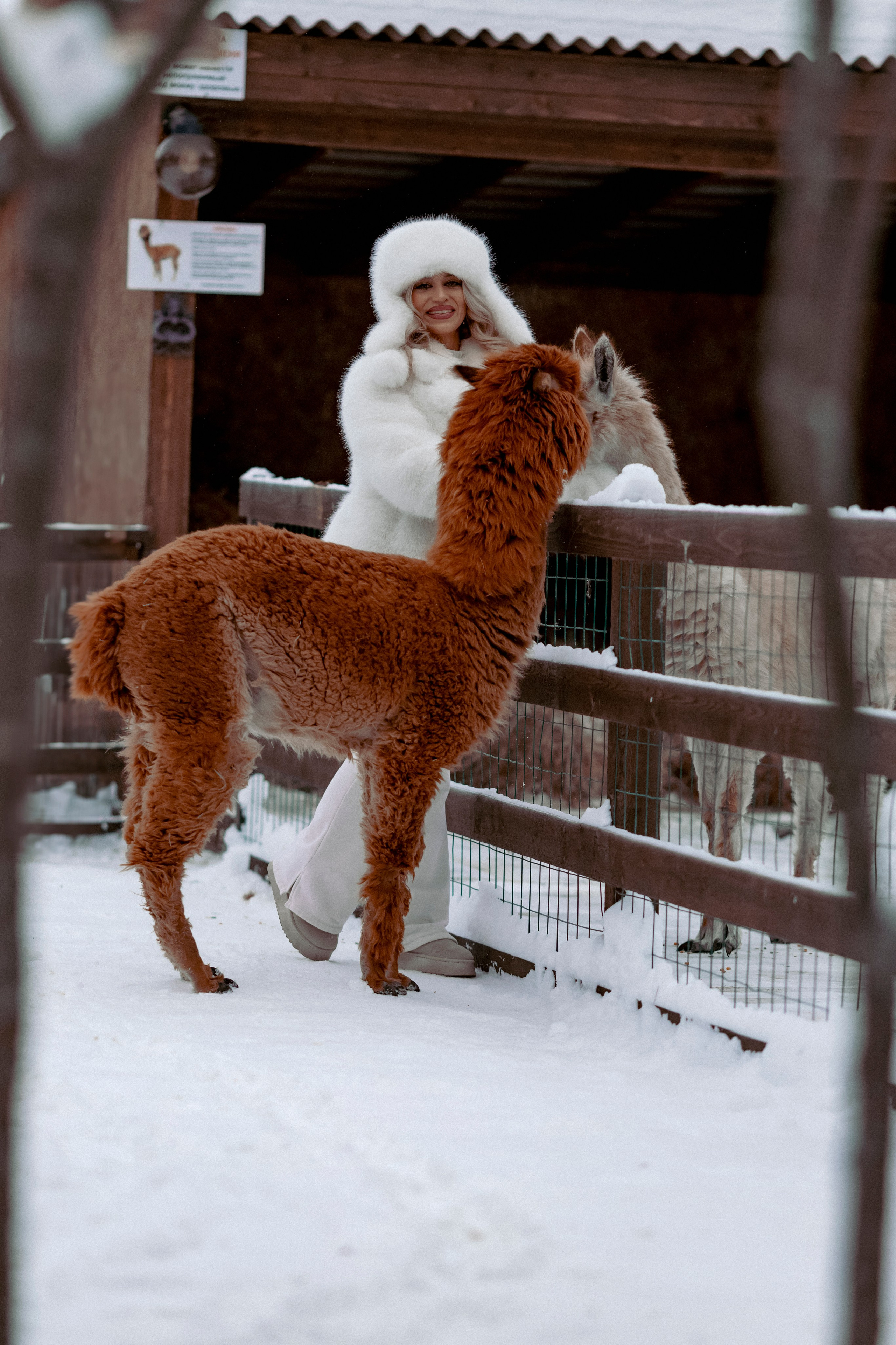 Алина. Детский и семейный фотограф Евгения Вахнеева Москва Зеленоград