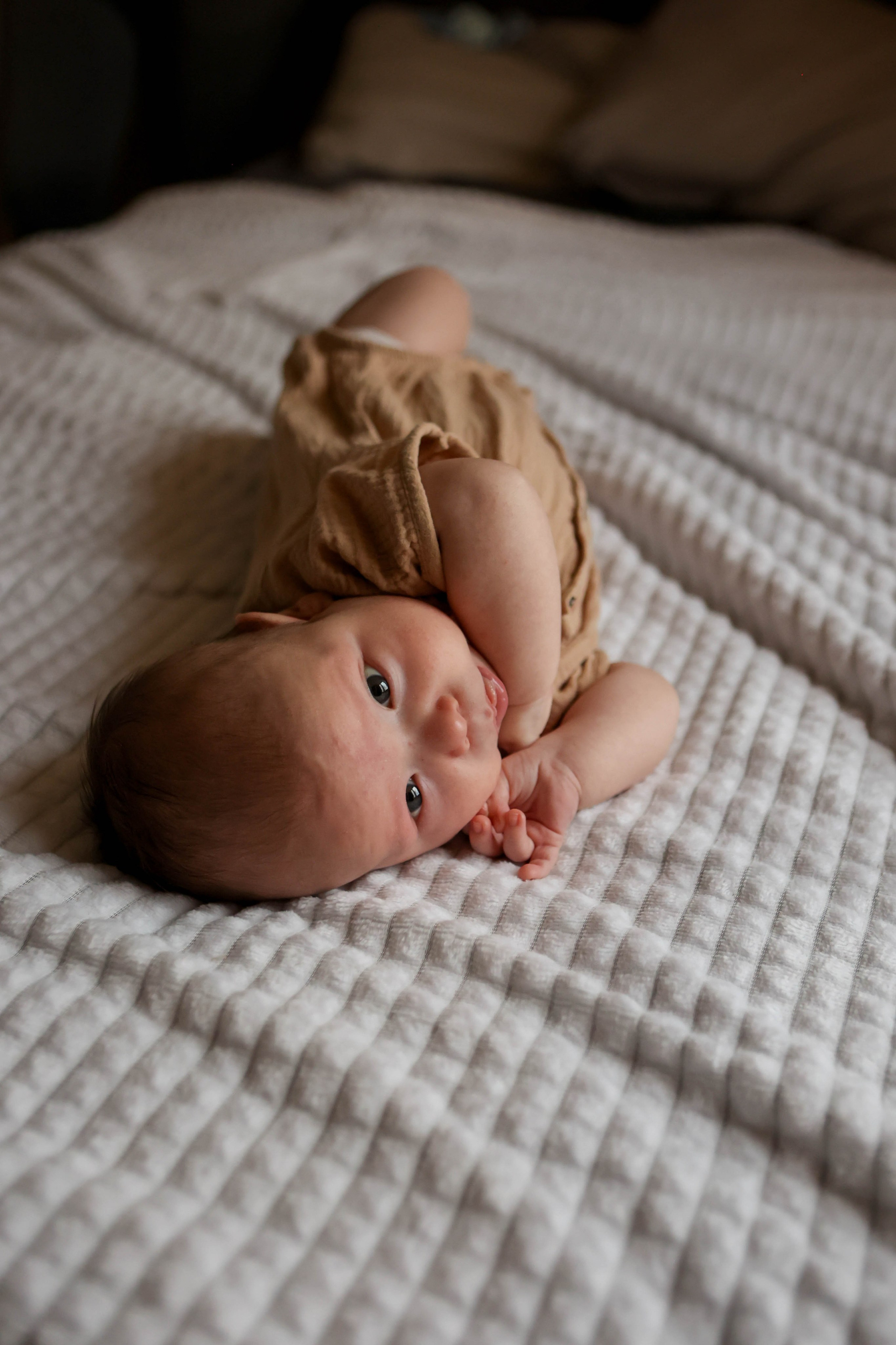 Тимоша. Наталья Косьянова. Ваш фотограф. Москва