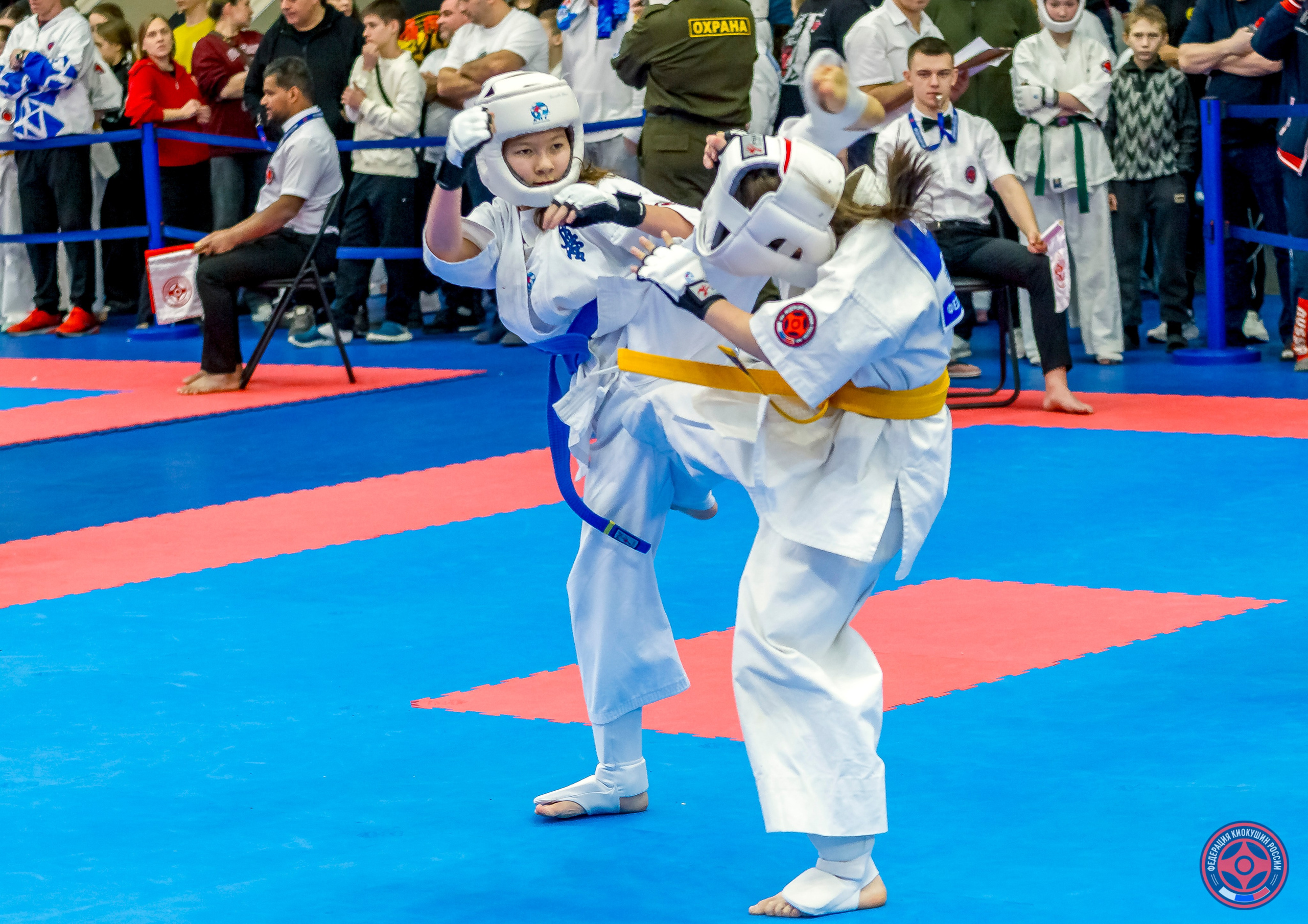 Международный турнир по киокушин «Открытый кубок Seiken». Репортажная съемка в Москве и области. Анималистика