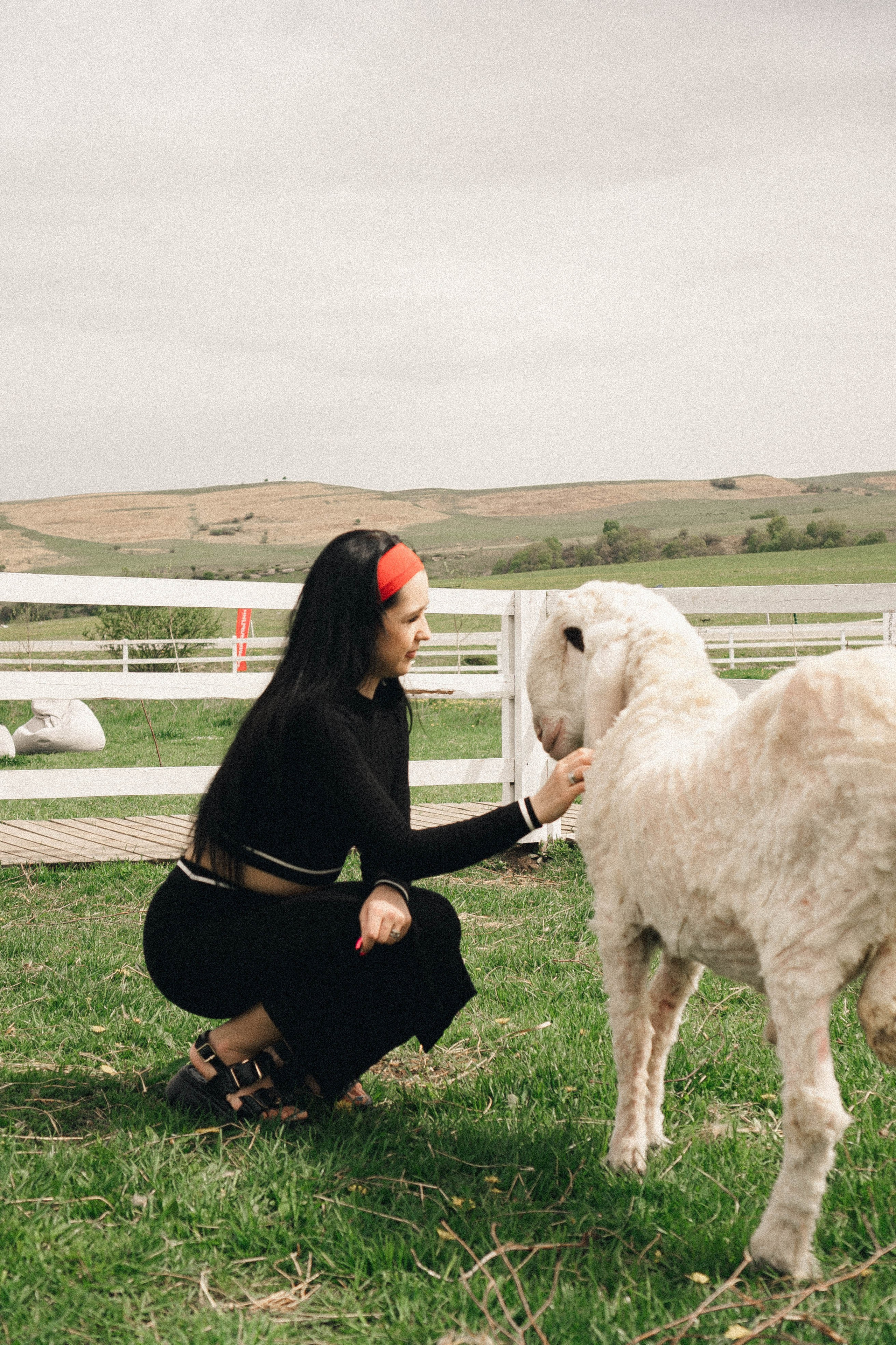 Ферма Альпак. Профессиональный фотограф, Санкт-Петербург — Виктория Богомолова