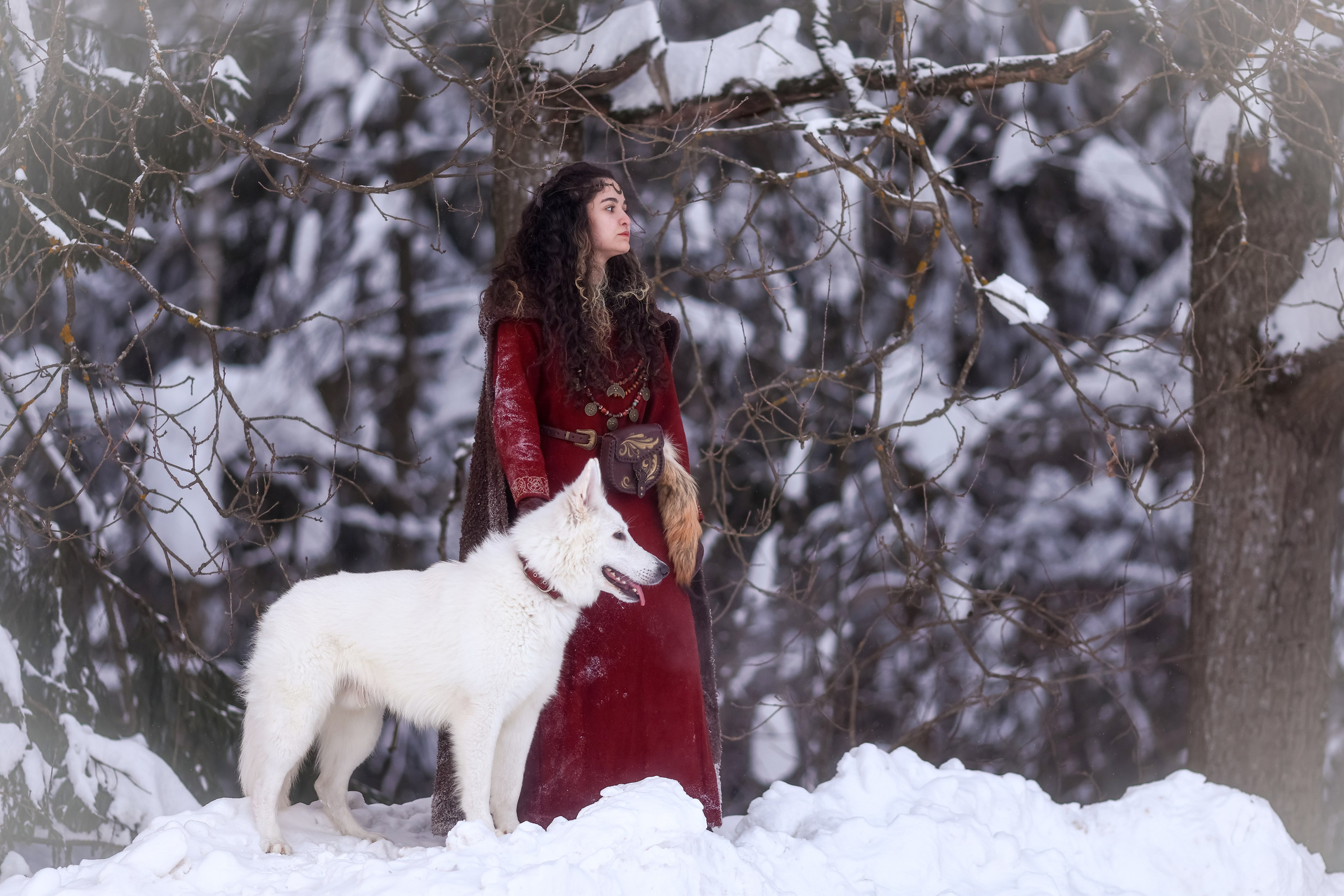 Фотосессия с лошадью в стиле викингов. Фотосессии с лошадьми