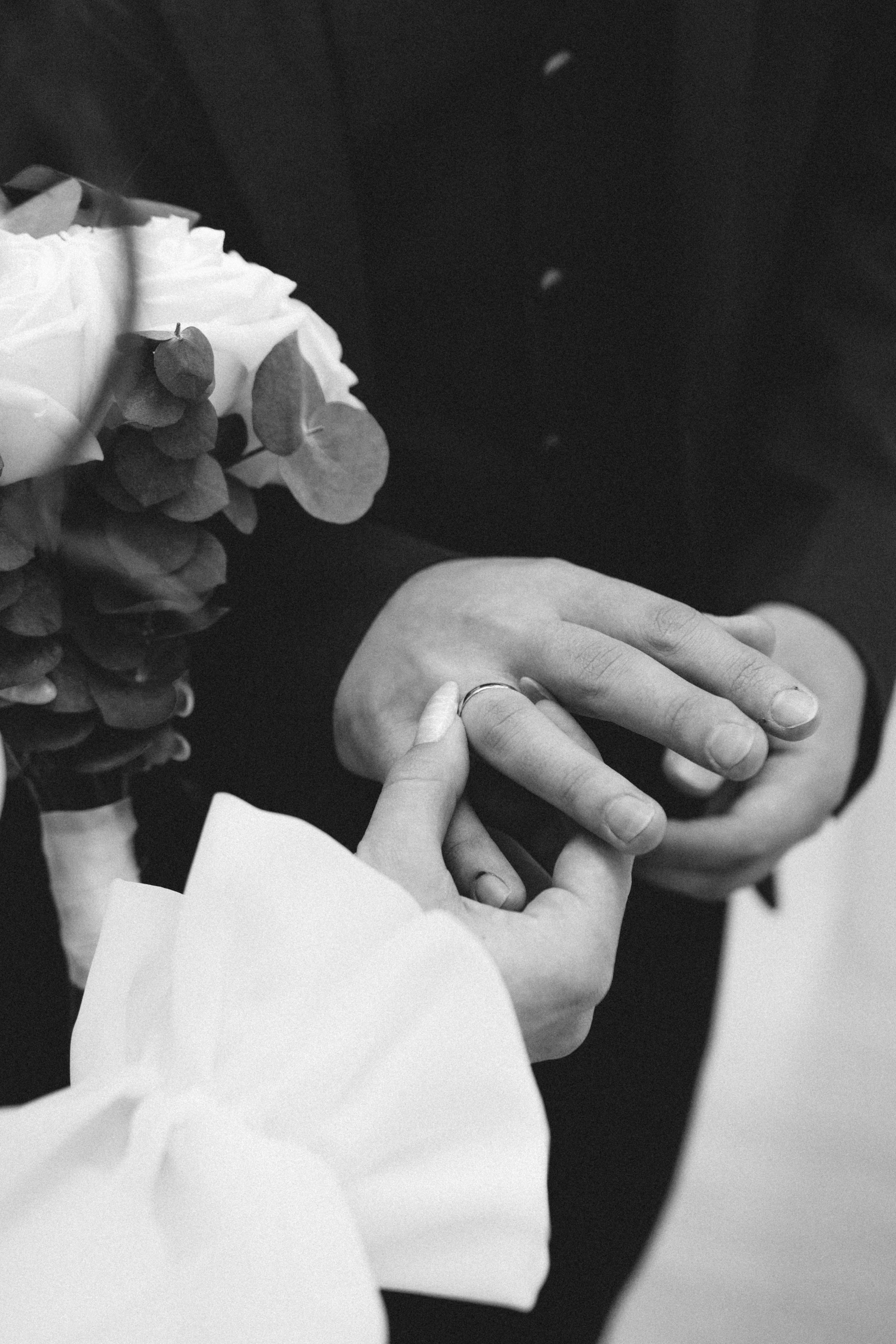 Ксения и Давид. Фотограф Новосибирск