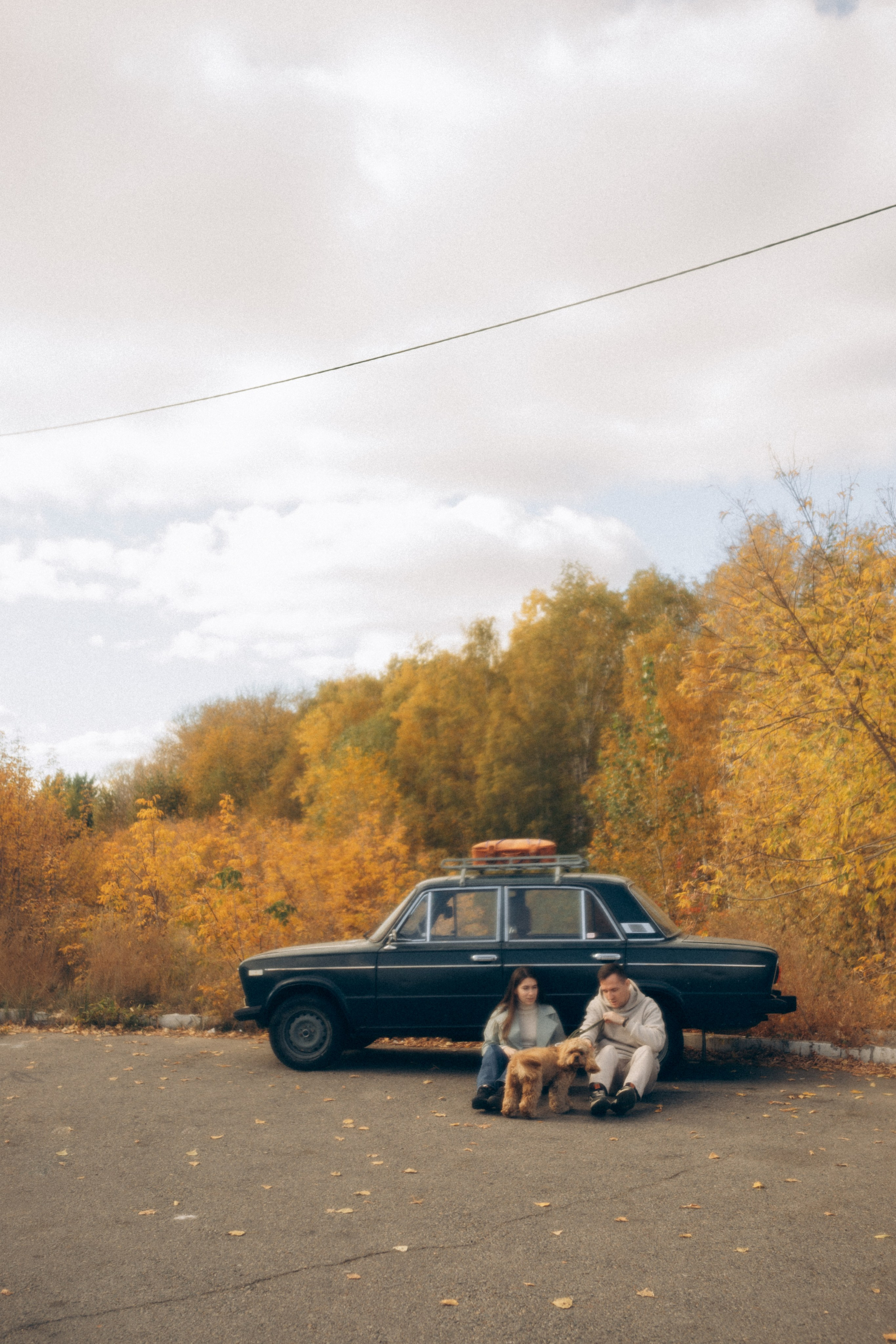 Саша Леся и Чипс. Свадебный фотограф Казань