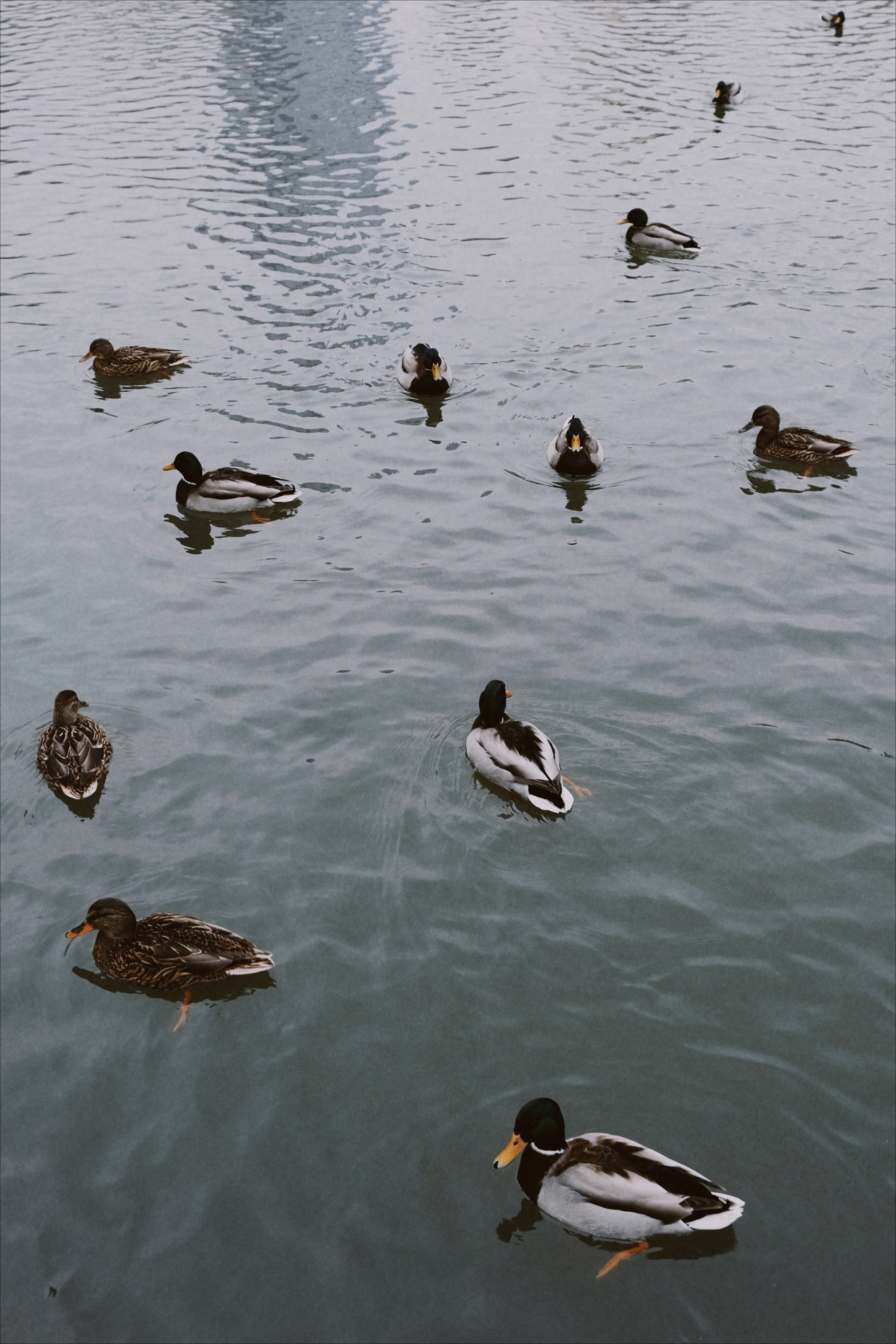 Москва. Татьян гертье