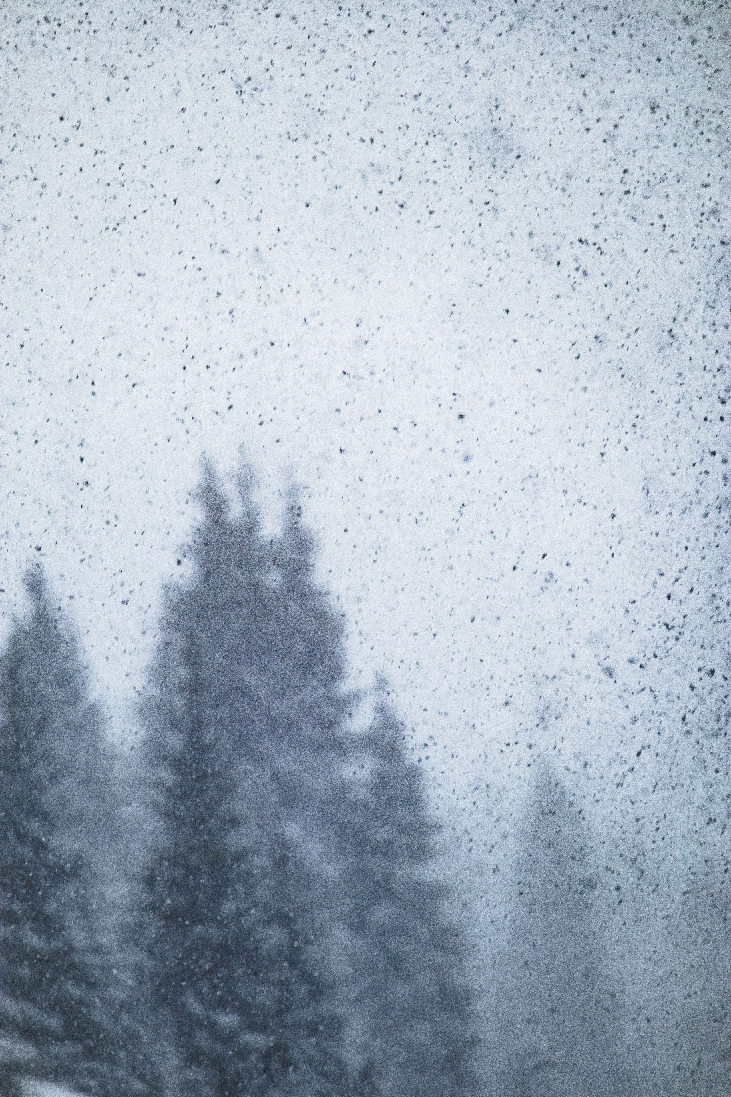 Жизнь. Фотограф Алматы | Весь мир — Никита Колодин