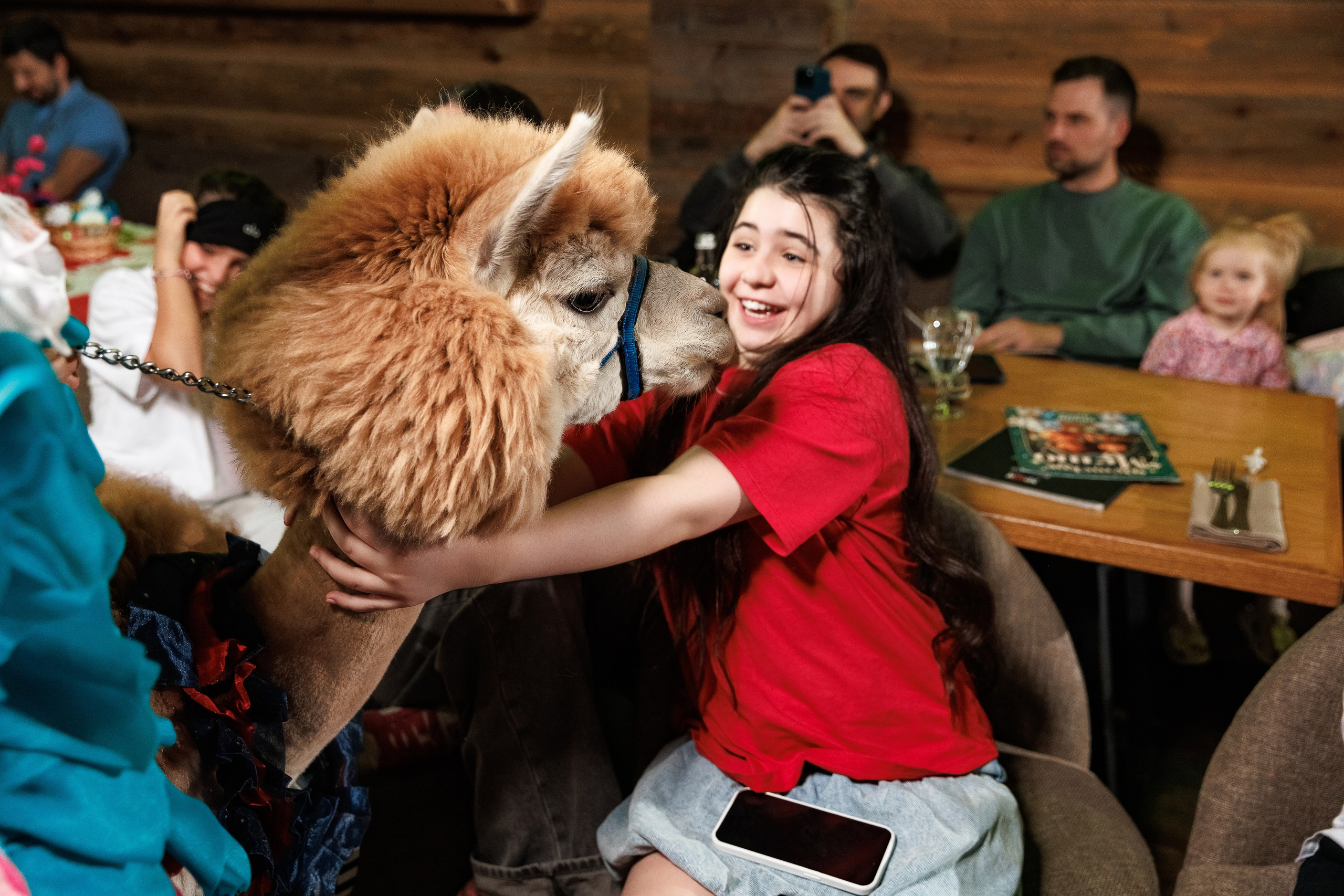 Лама и Альпака