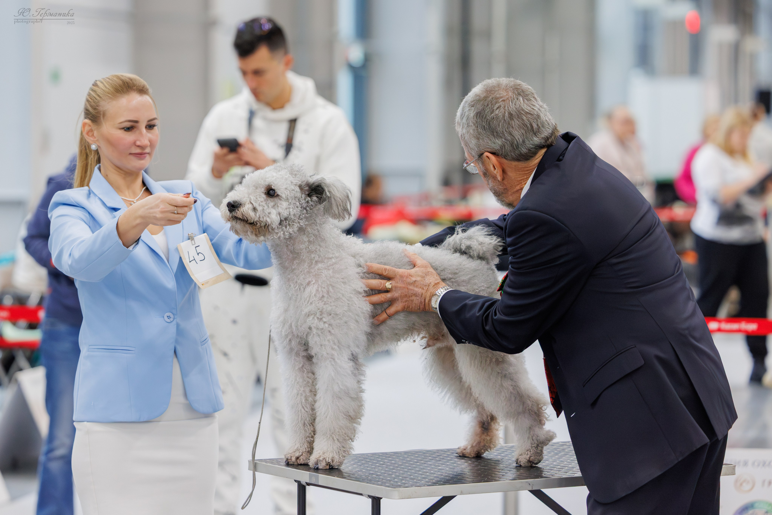 Зилант Казань 29-30.11.2025. Фотограф-анималист Юлия Германика