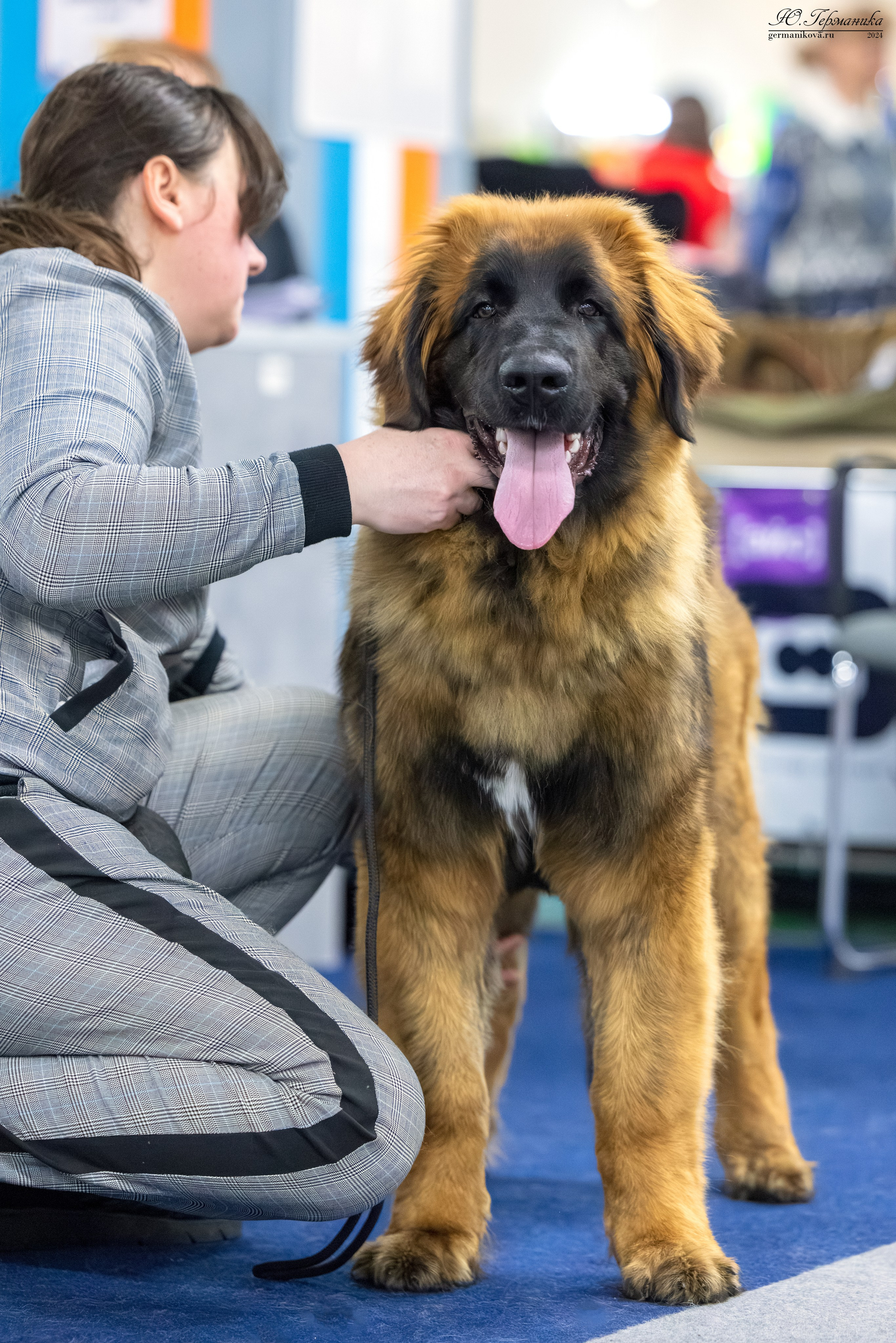 Сфера 17.03.2024. Фотограф-анималист Юлия Германика