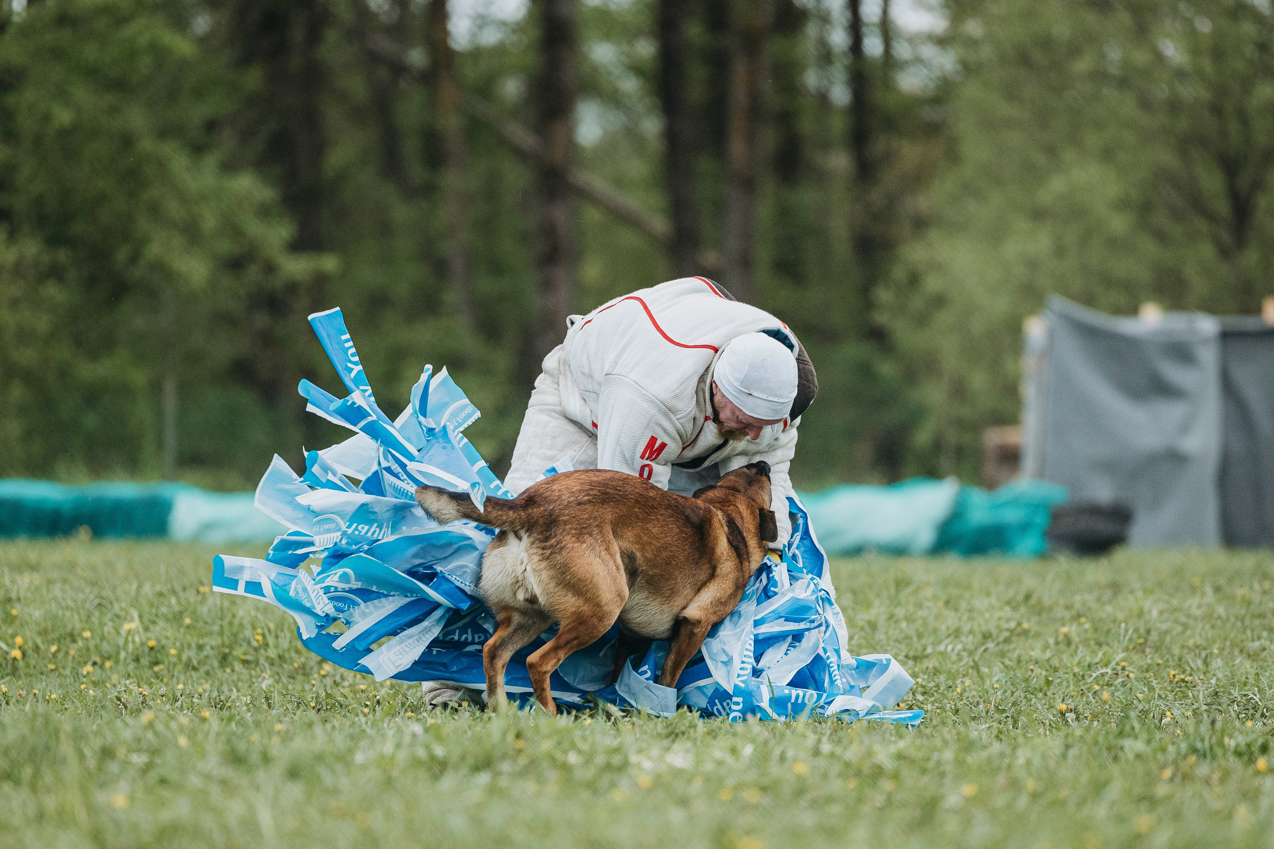 26.05.25 г. Пушкин квалификационные соревнования. Фотограф-анималист Анна Маринич