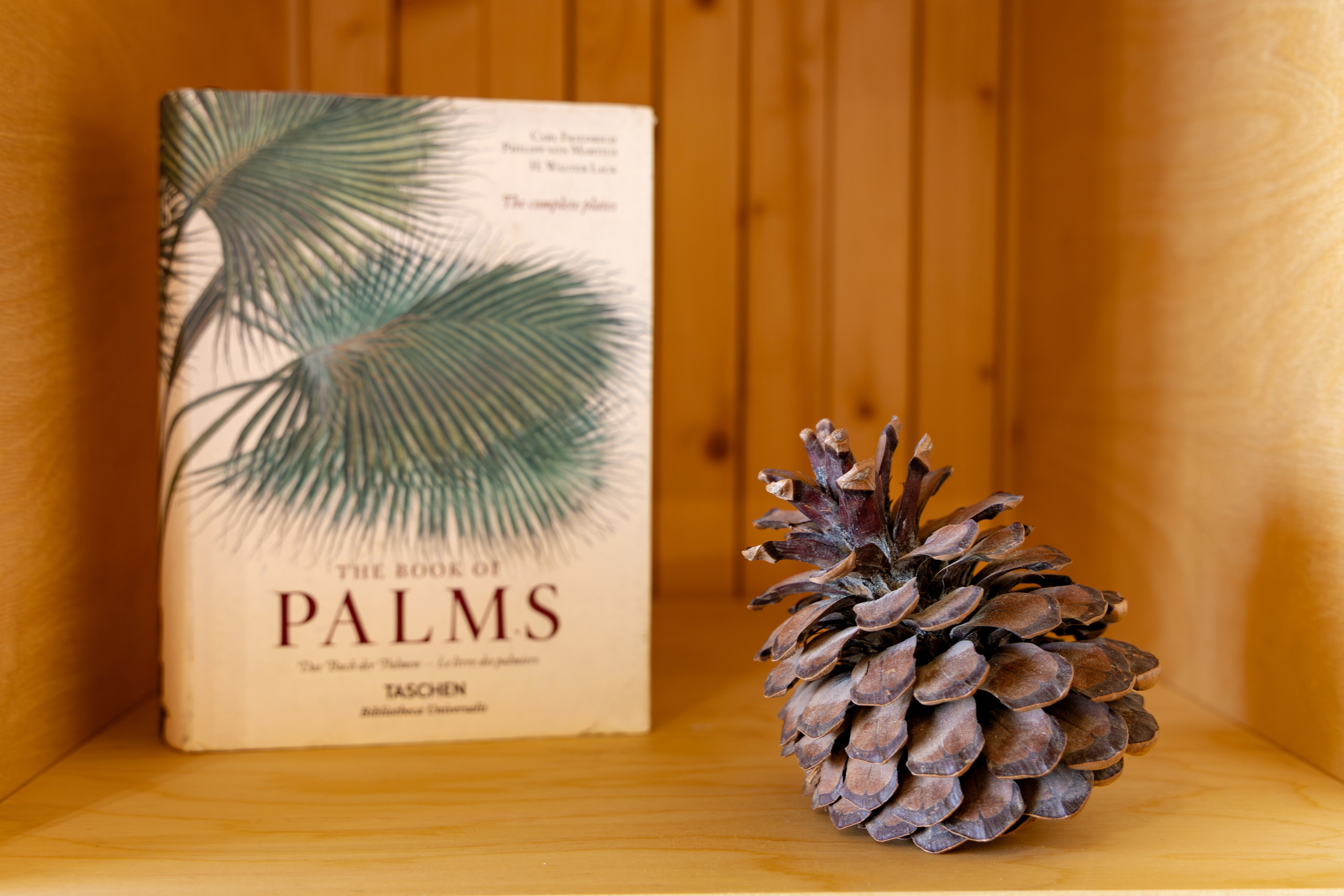 Бутик-отель Заонежье». Аэросъемка. Фото и Видео в Карелии. Алексей Фрилунд