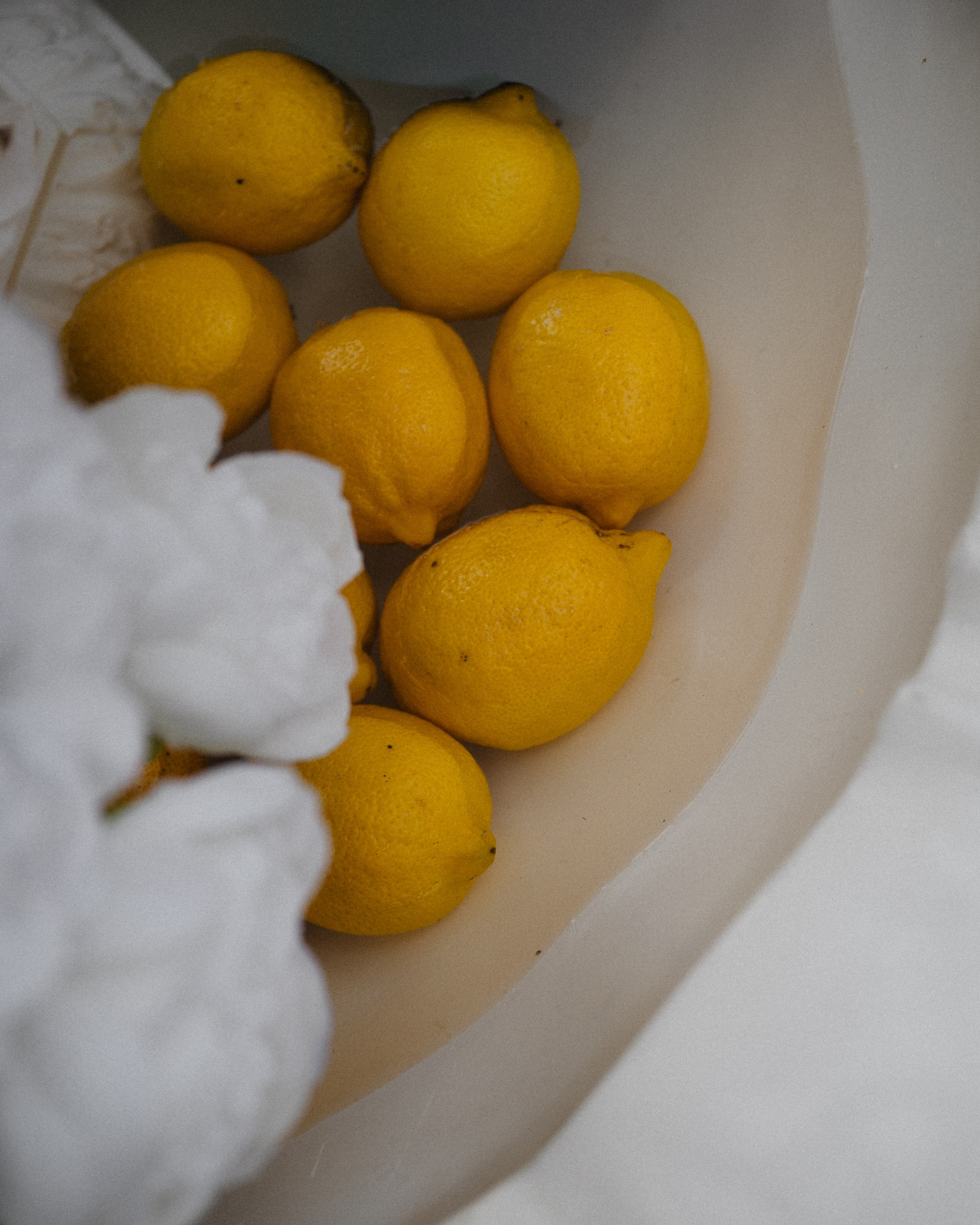 Вечеринка в Санта-Барбаре. Свадебный и семейный фотограф в Краснодаре Марина Стёпа