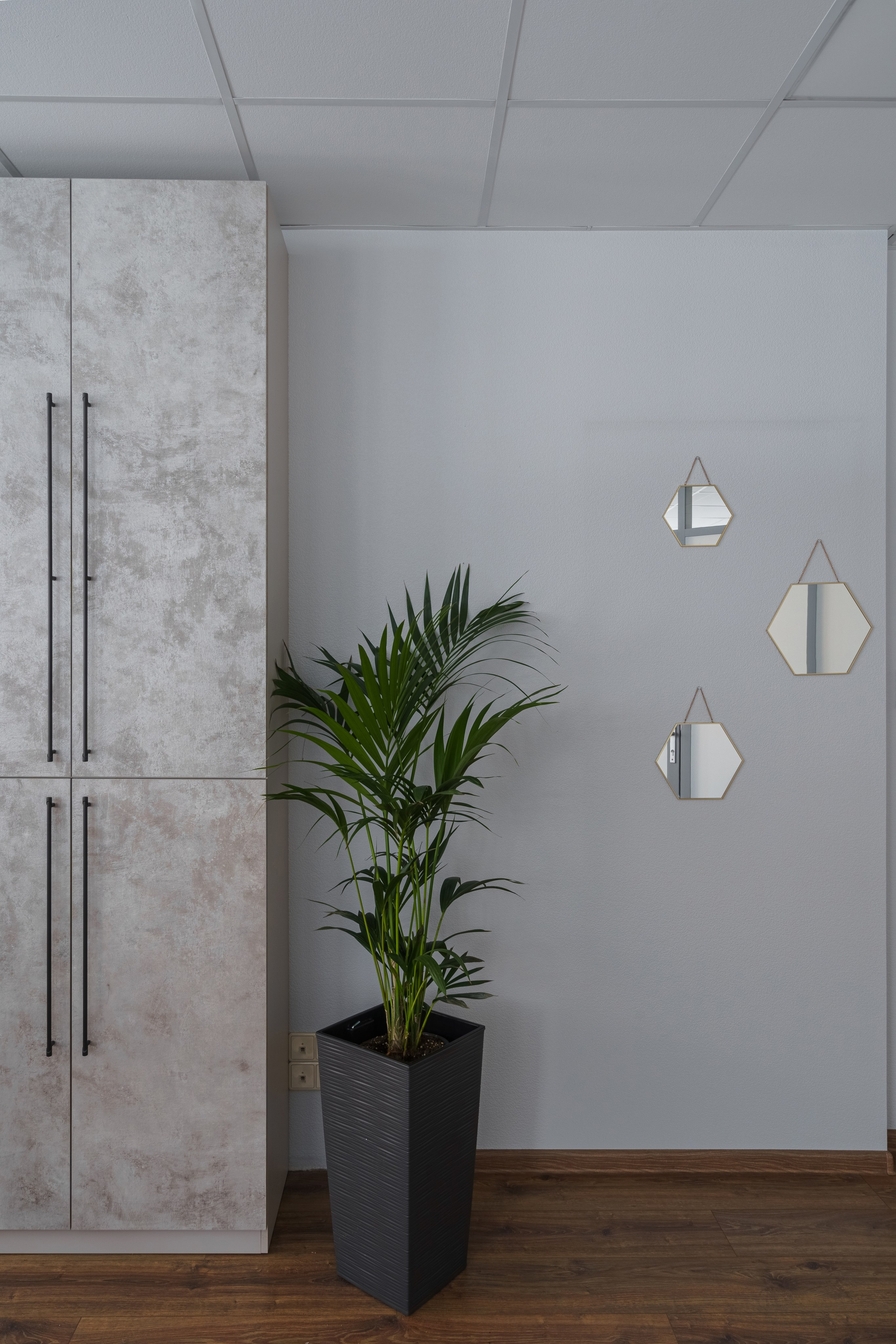 Интерьерная съемка в Архангельске для дизайнера интерьеров