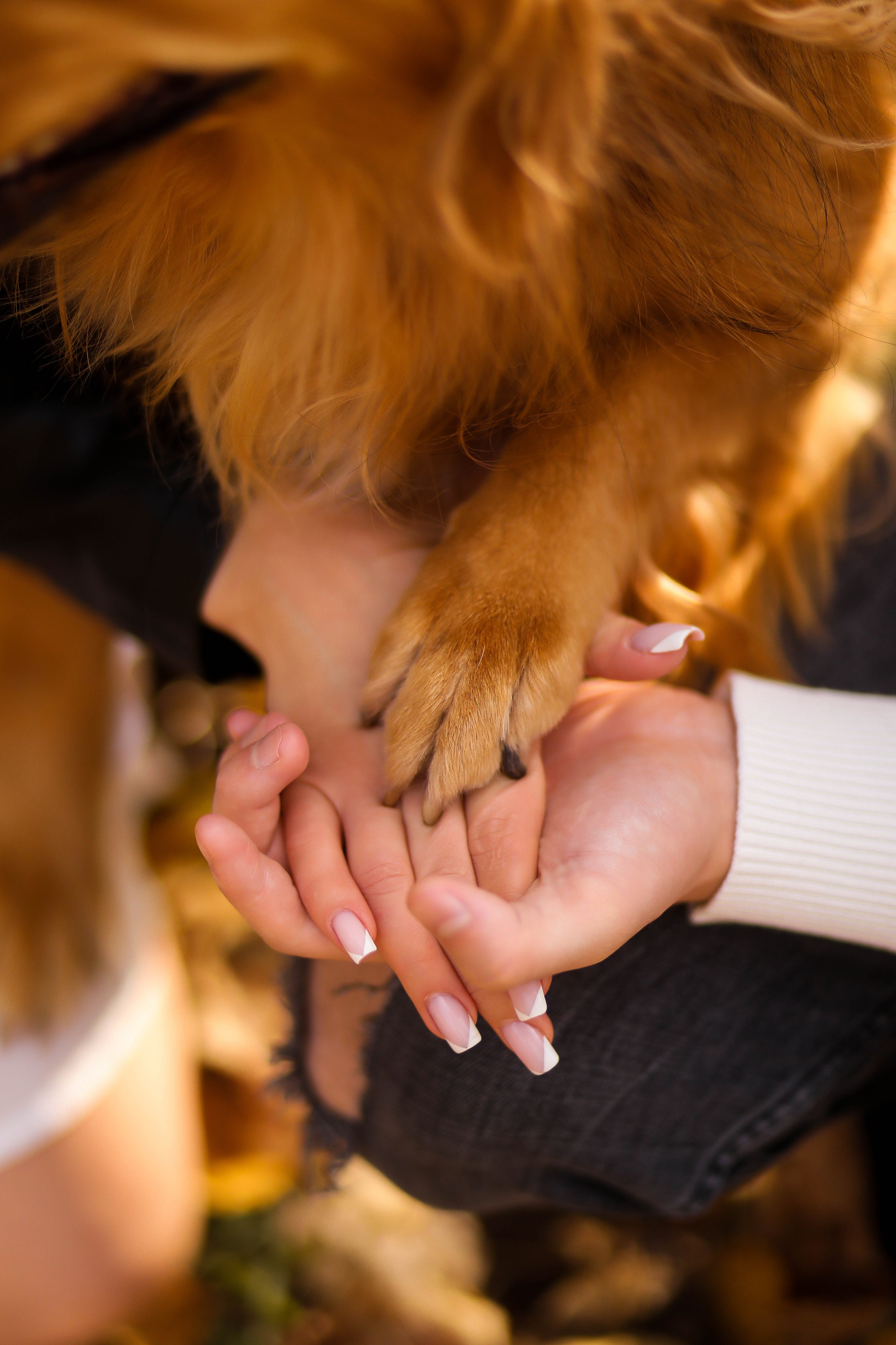 Ксюша и Дима Love story. ФОТОГРАФ ХАБАРОВСК АНАСТАСИЯ РАЧЕНКОВА