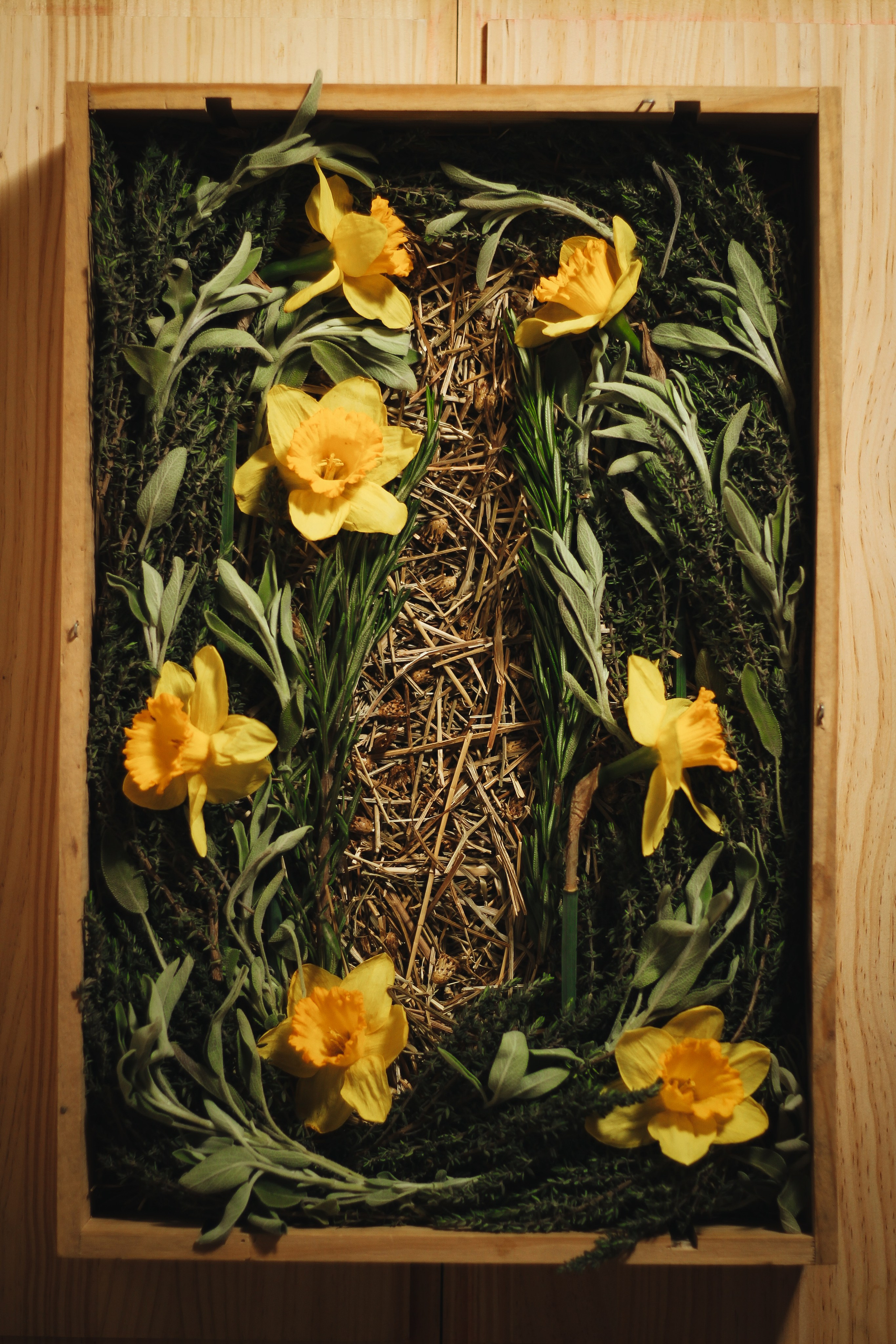 Мой сет-дизайн. Света Голобородько, фудфотограф в Санкт-Петербурге