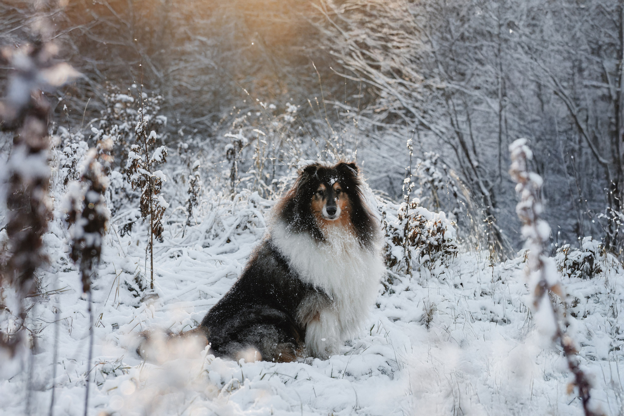 Дарья и Зора. Фотограф в Санкт-Петербурге Алёна Губинская