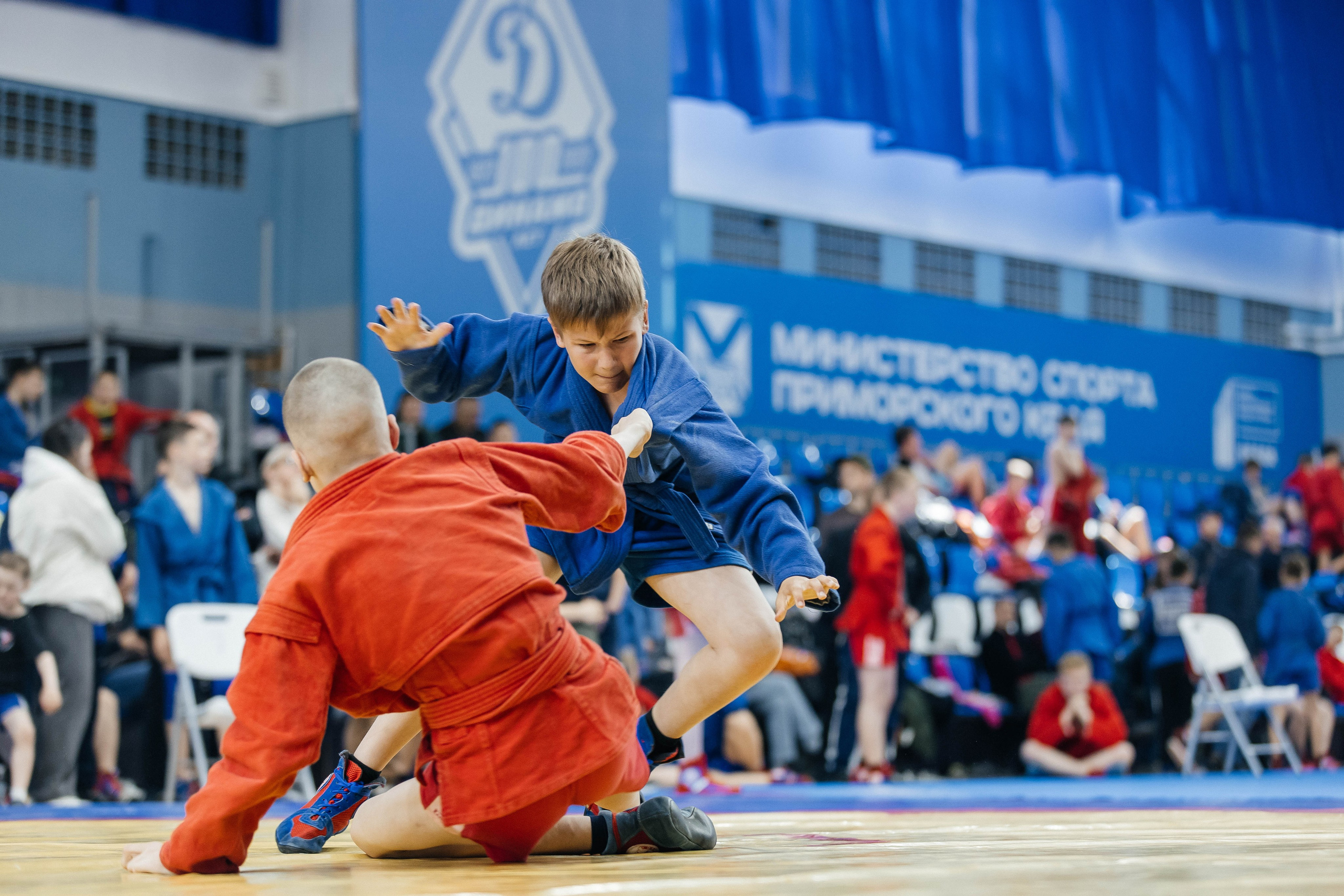 Sambo Championship. Maxim Tsoy Photography